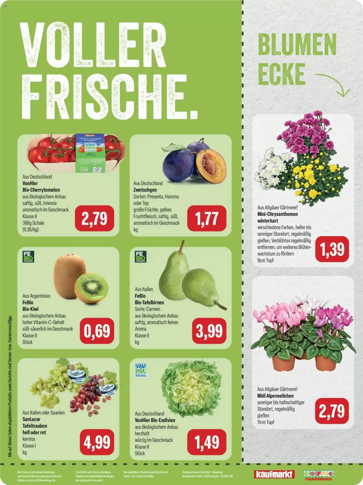 Feneberg Prospekt (ab 10.09.2026) zum Blättern - Seite 8