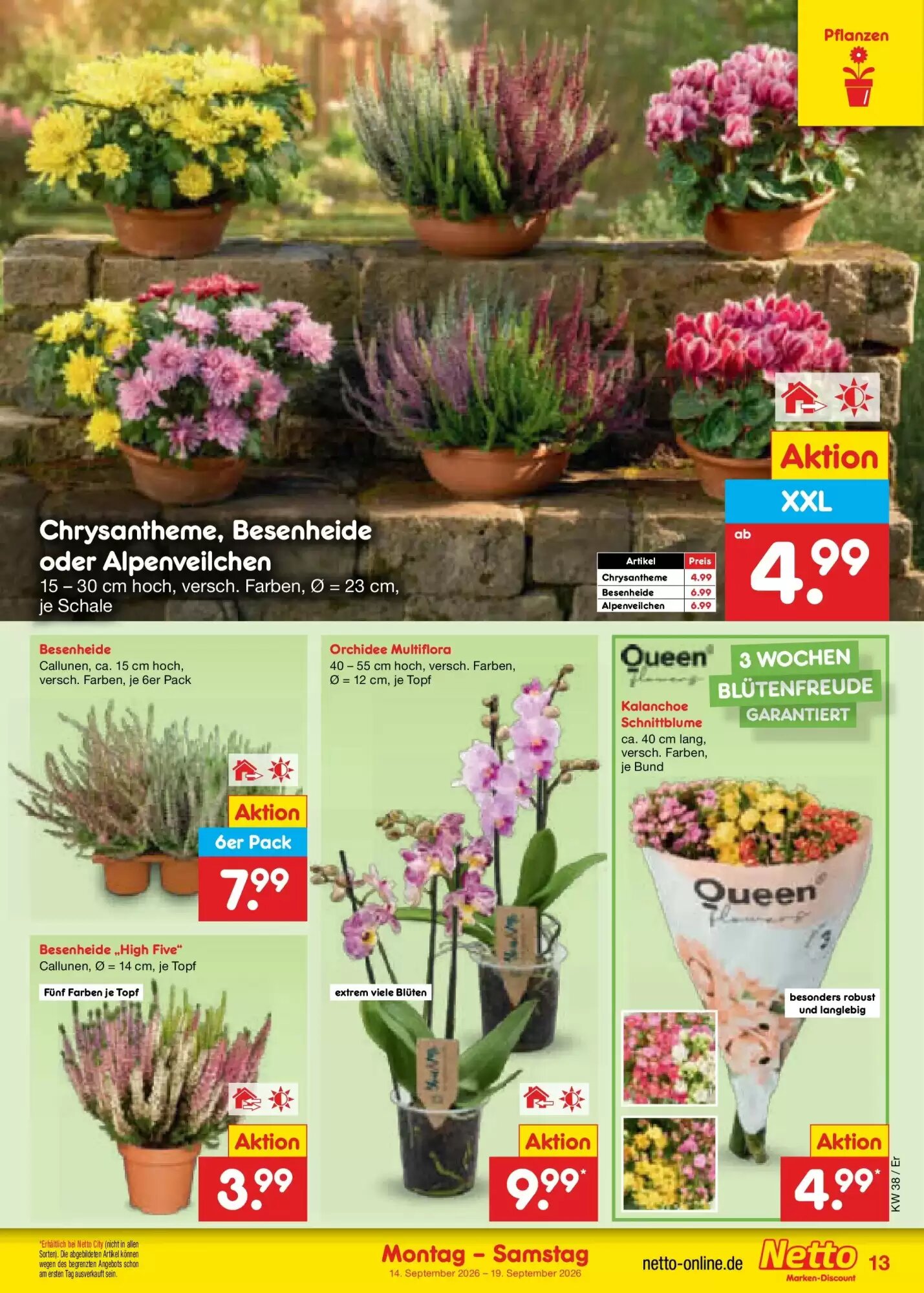 Netto Marken-Discount Prospekt (ab 13.09.2026) zum Blättern - Seite 19