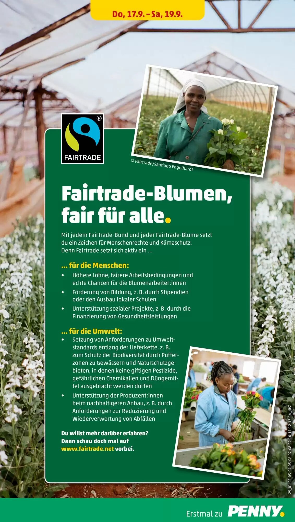 PENNY Prospekt (ab 14.09.2026) zum Blättern - Seite 31