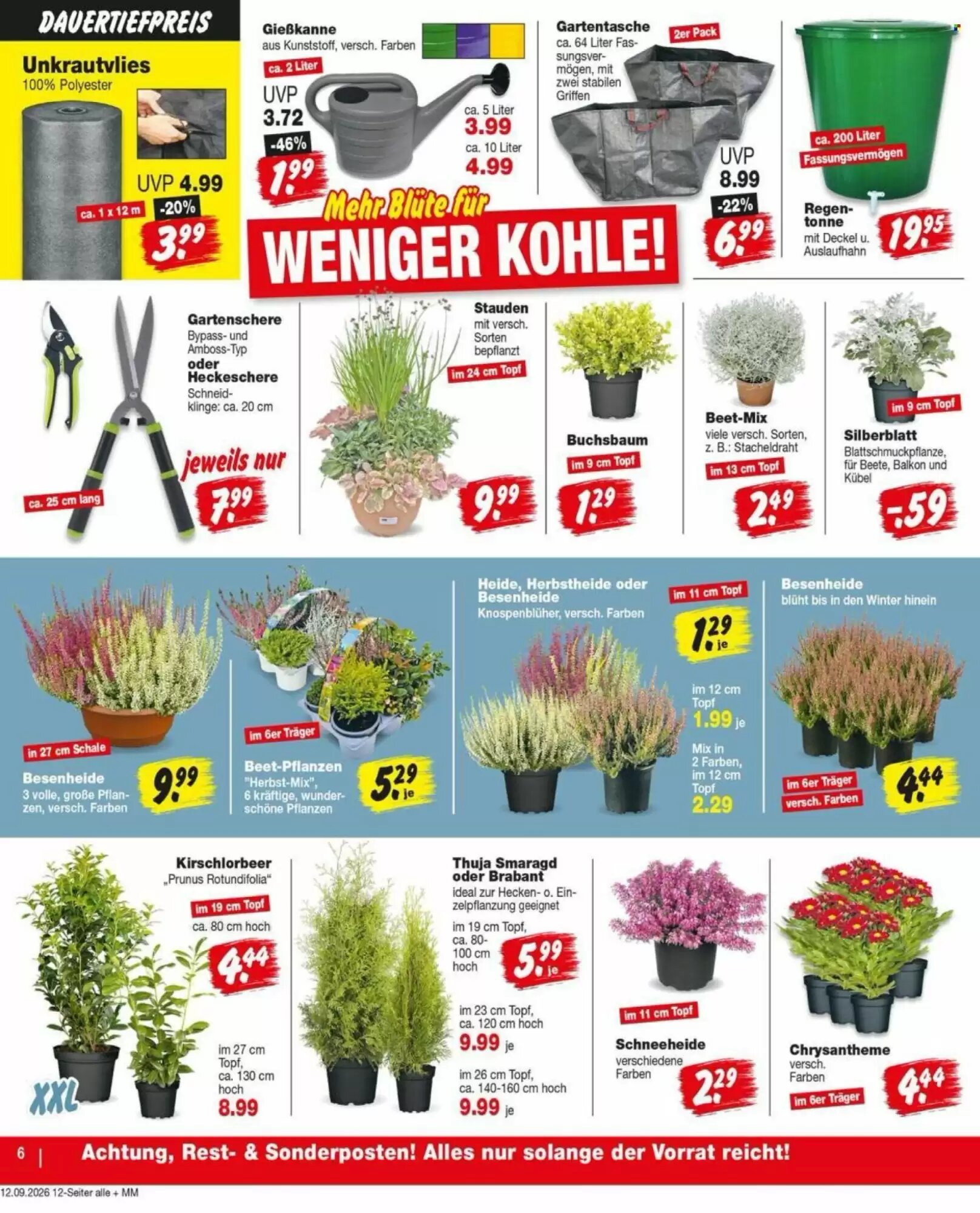 Repo Markt Prospekt (ab 14.09.2026) zum Blättern - Seite 6