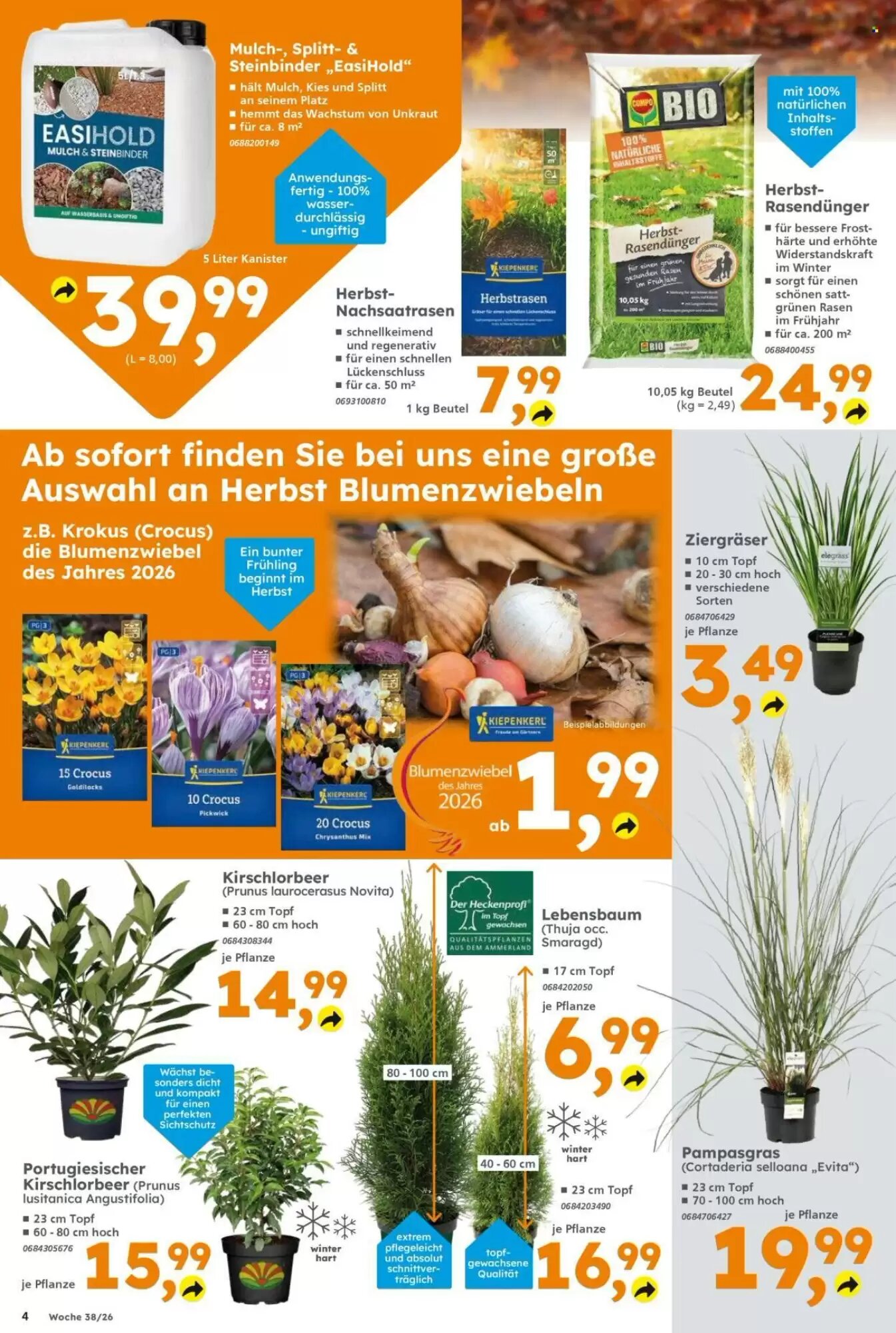 Globus Baumarkt Prospekt (ab 14.09.2026) zum Blättern - Seite 4