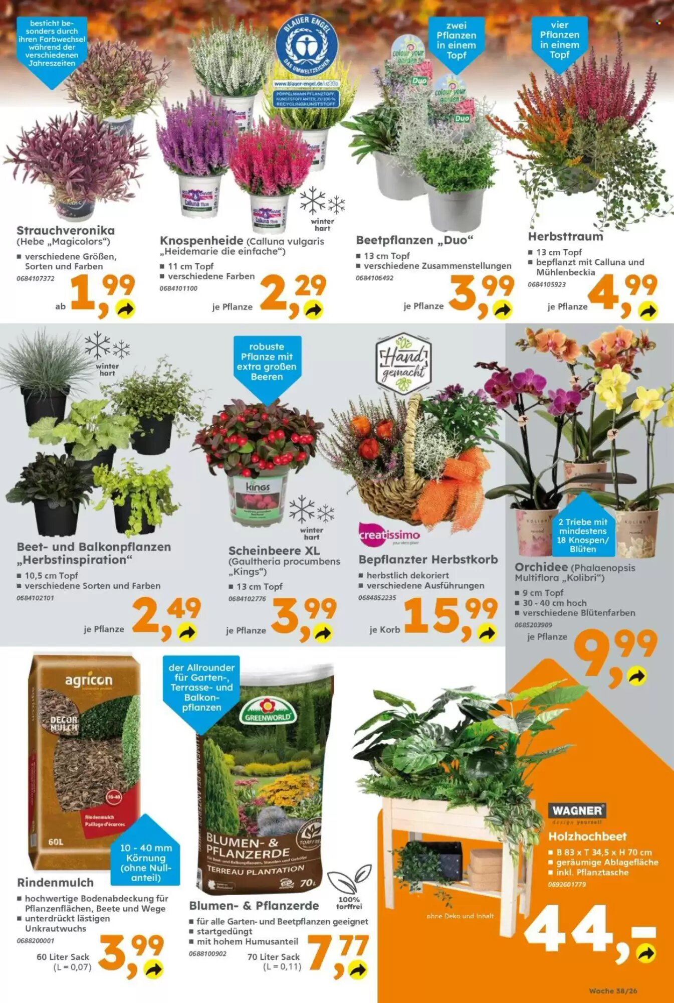 Globus Baumarkt Prospekt (ab 14.09.2026) zum Blättern - Seite 5
