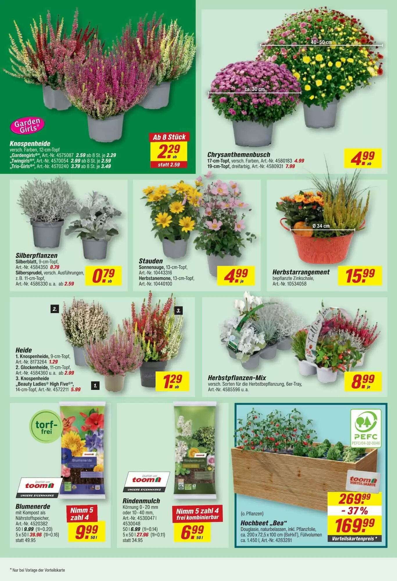 toom Baumarkt Prospekt (ab 14.09.2026) zum Blättern - Seite 8