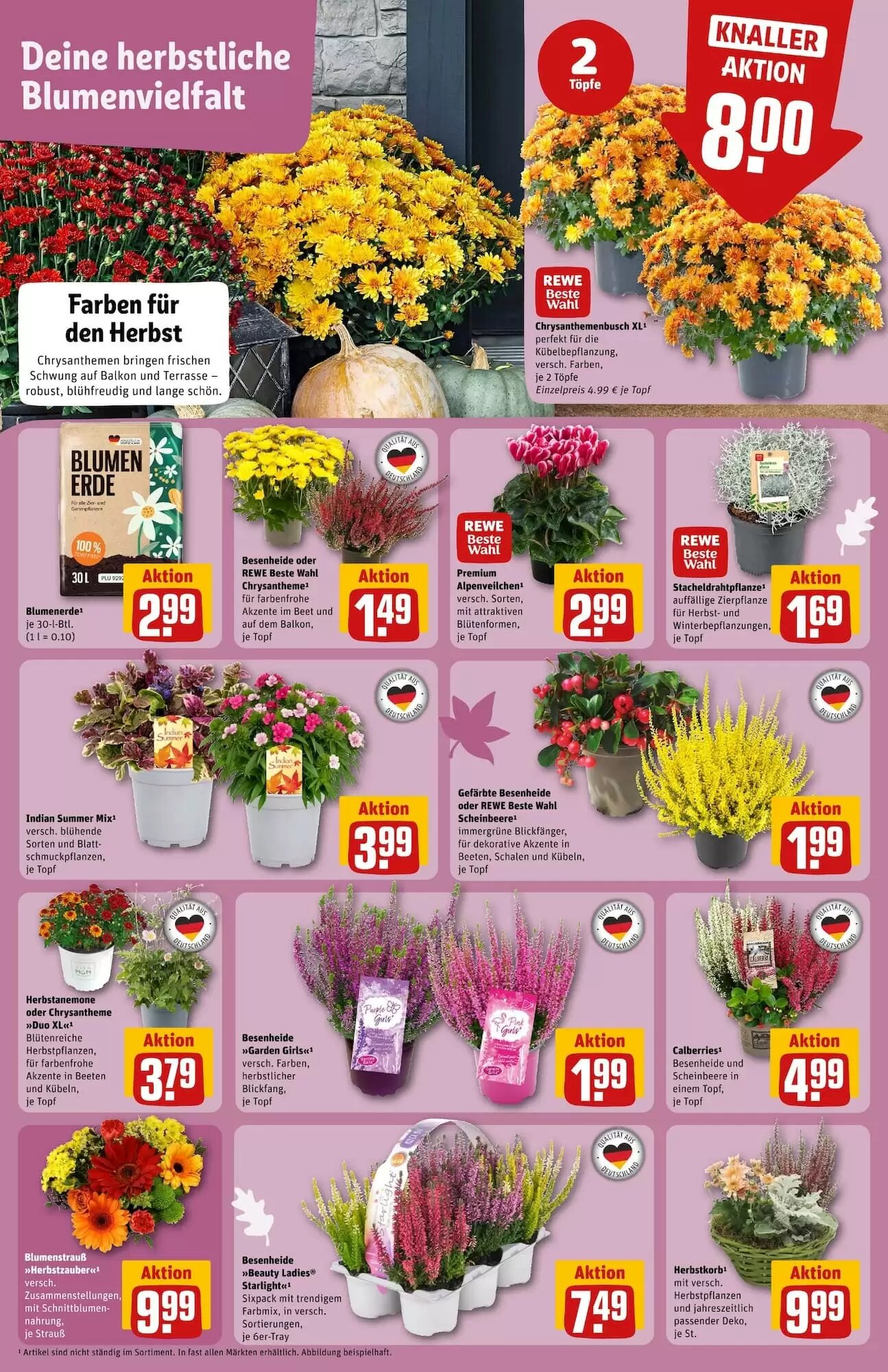 REWE Center Prospekt (ab 14.09.2026) zum Blättern - Seite 5