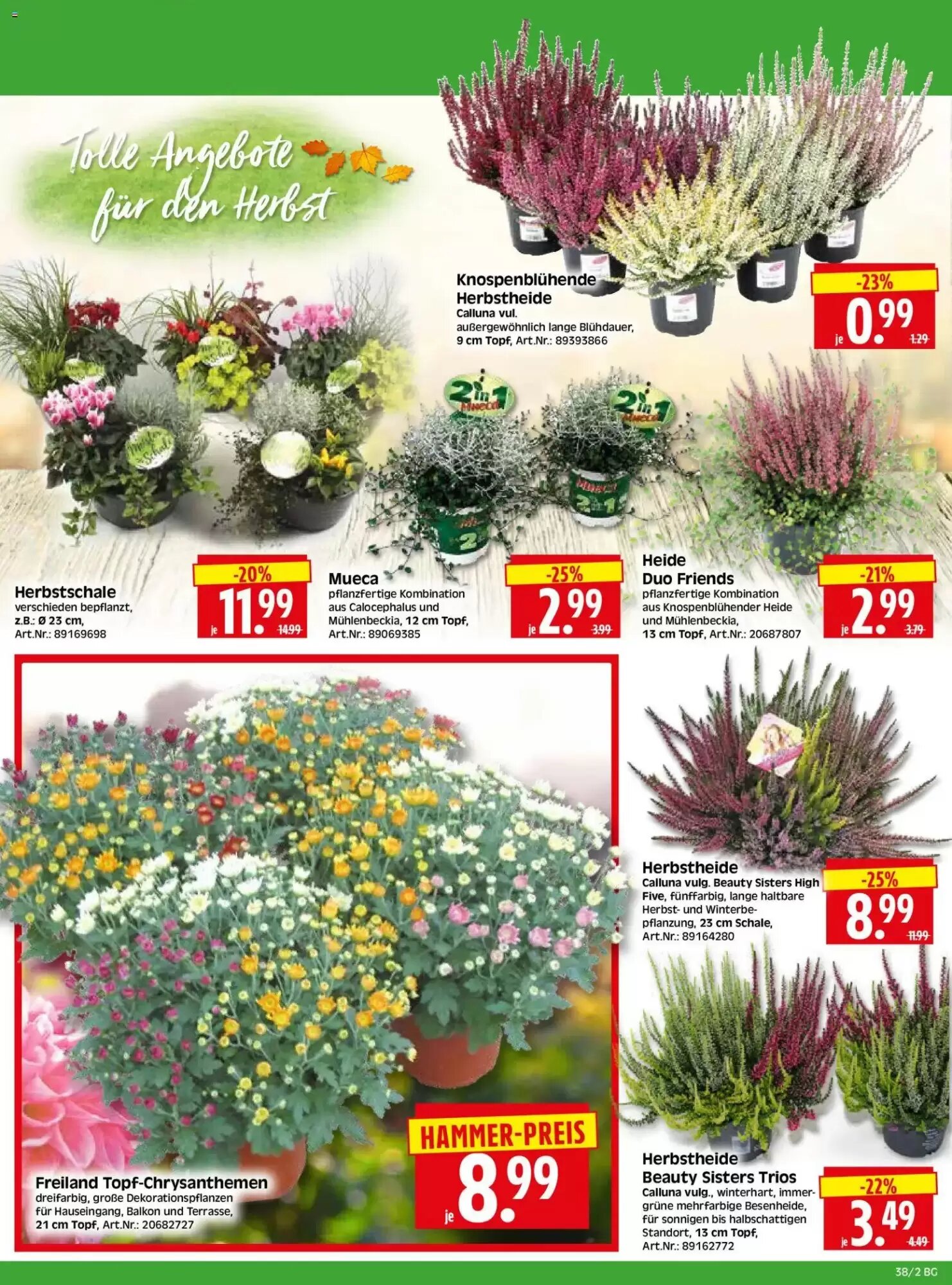 Herkules Baumarkt Prospekt (ab 14.09.2026) zum Blättern - Seite 2