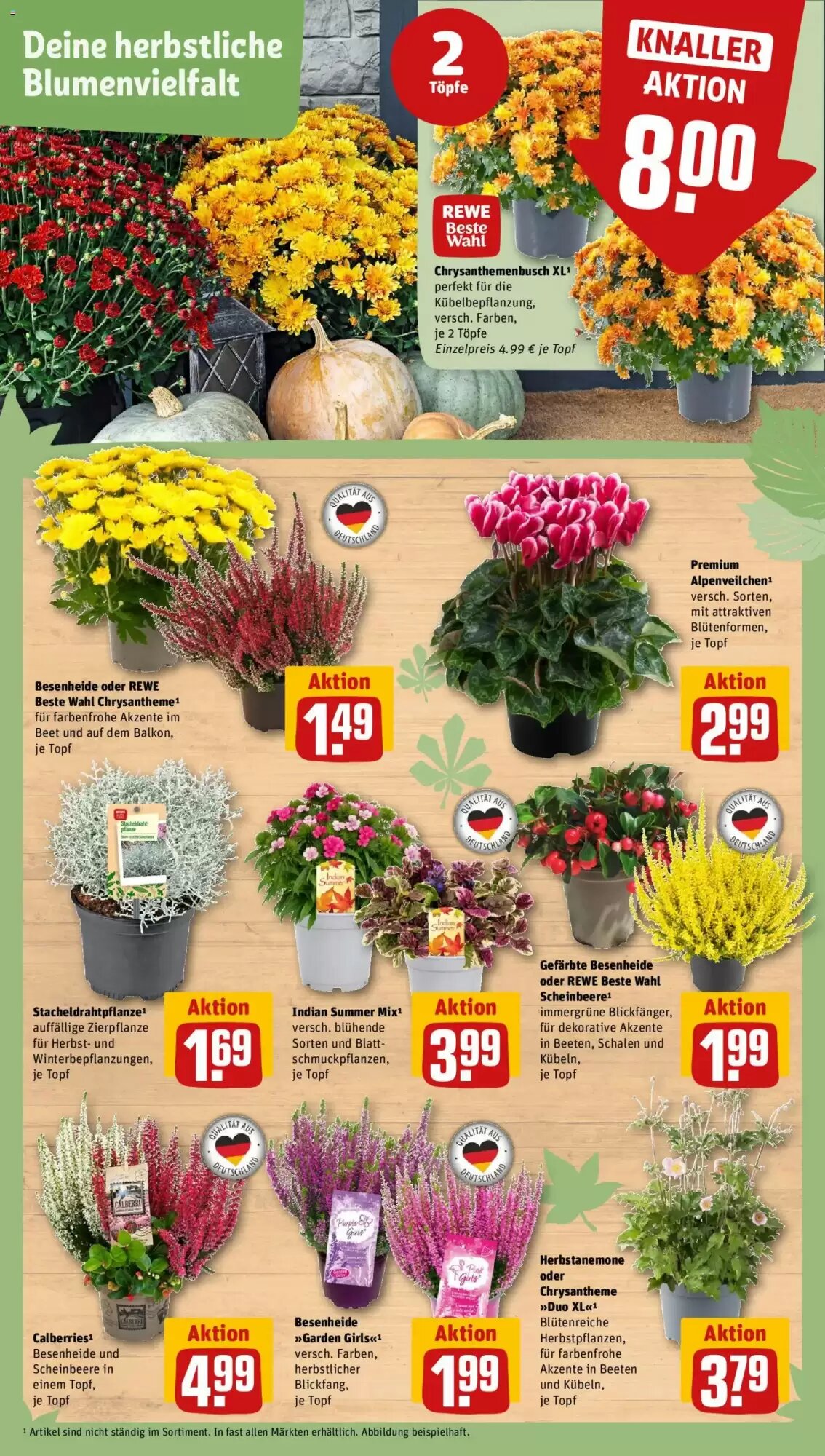 REWE Kaufpark Prospekt (ab 14.09.2026) zum Blättern - Seite 6