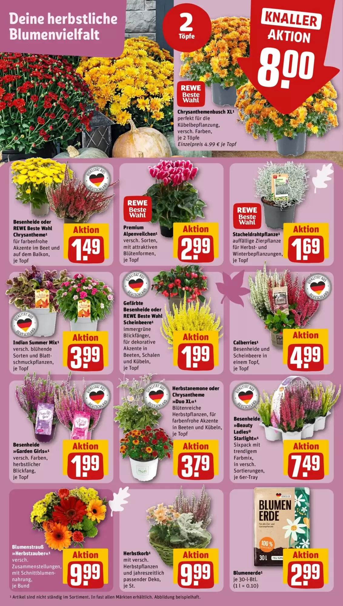 REWE Prospekt (ab 14.09.2026) zum Blättern - Seite 5
