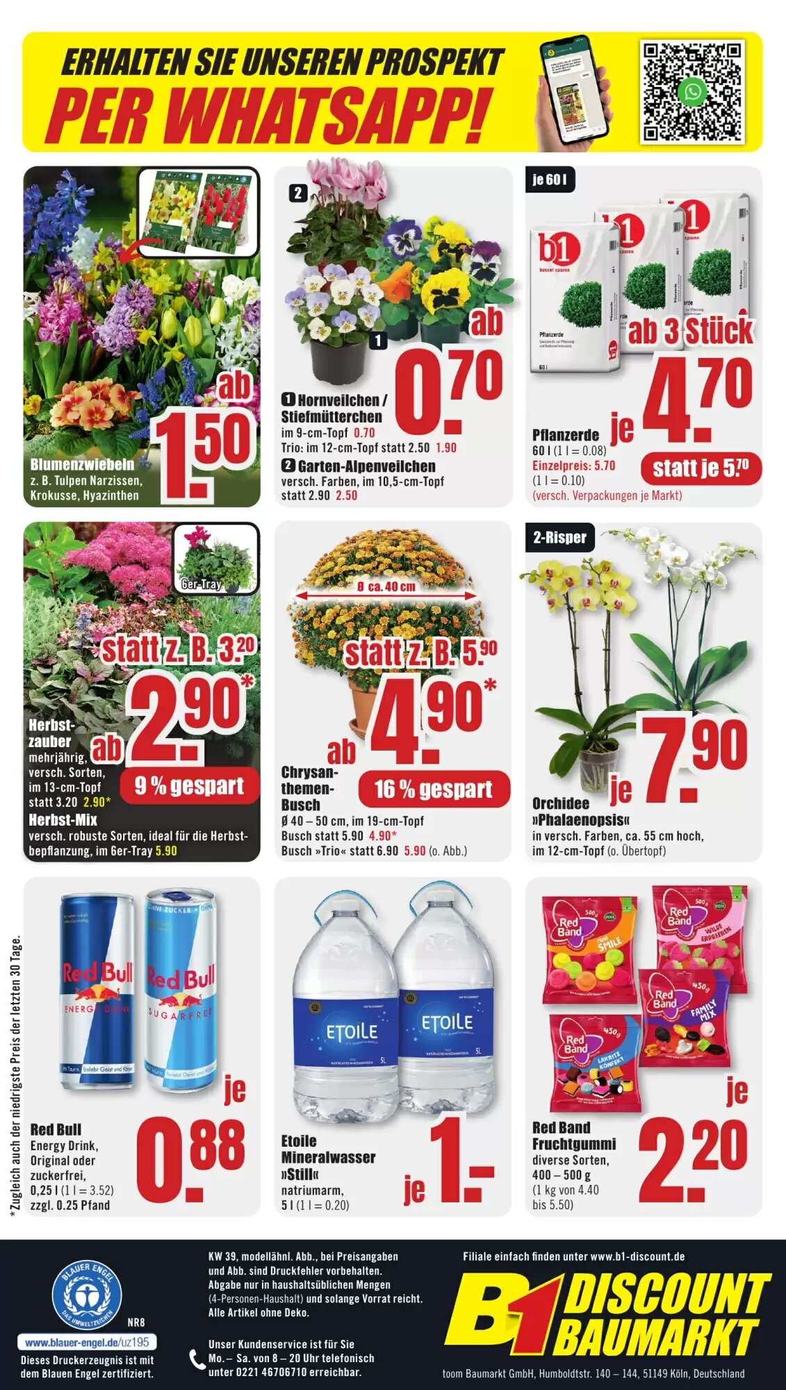 B1 Discount Baumarkt Prospekt (ab 19.09.2026) zum Blättern - Seite 8