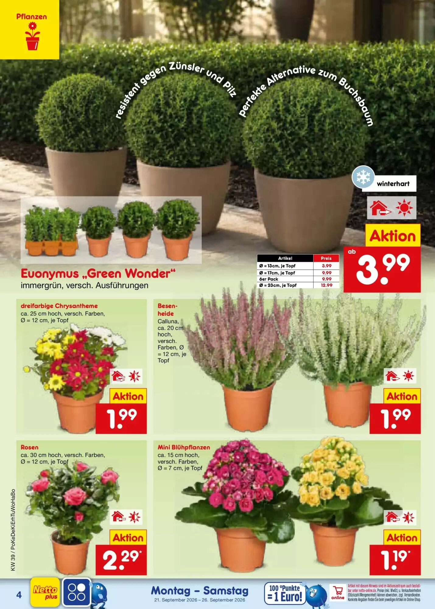 Netto Marken-Discount Prospekt (ab 20.09.2026) zum Blättern - Seite 4
