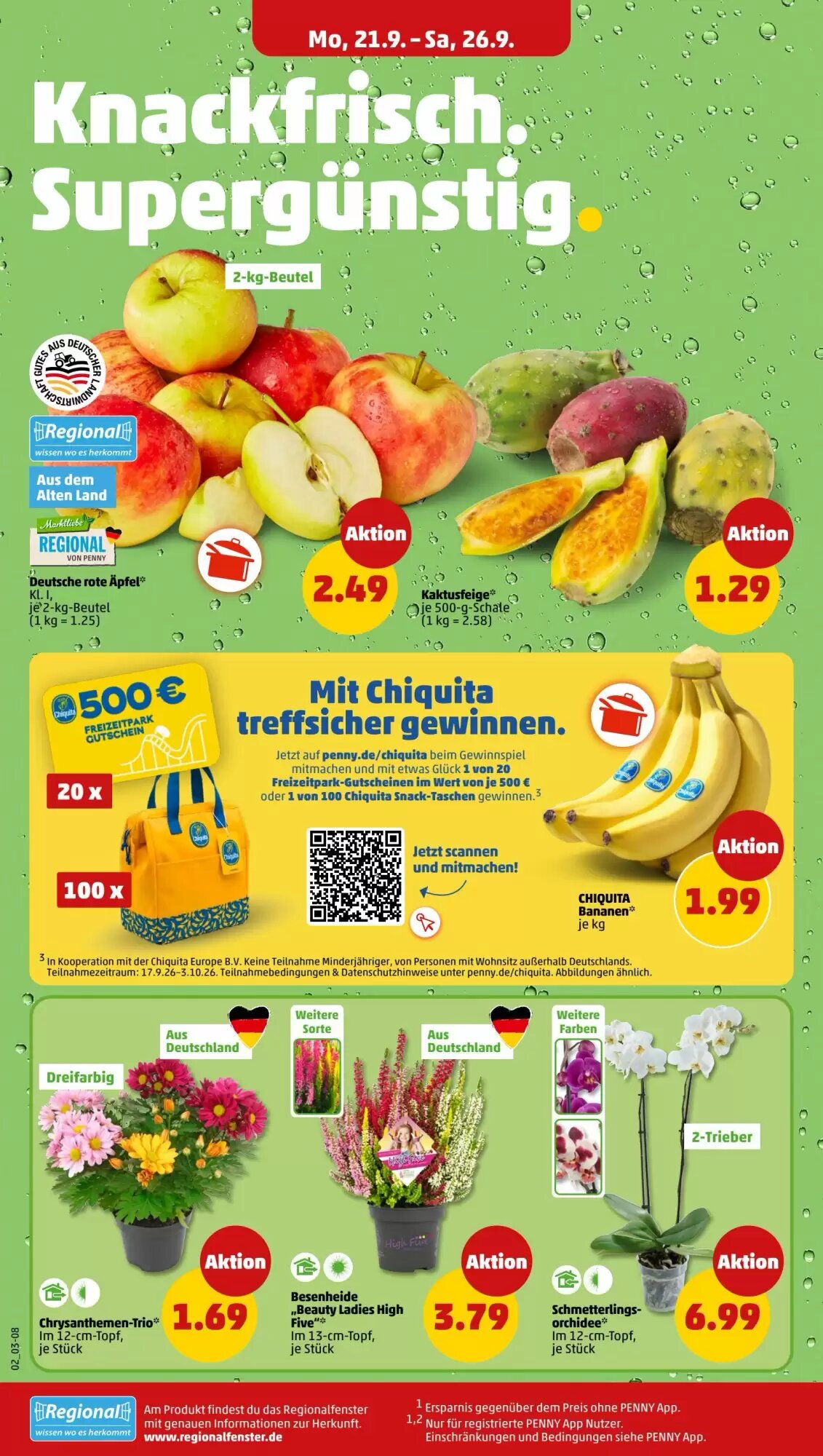 PENNY Prospekt (ab 21.09.2026) zum Blättern - Seite 2
