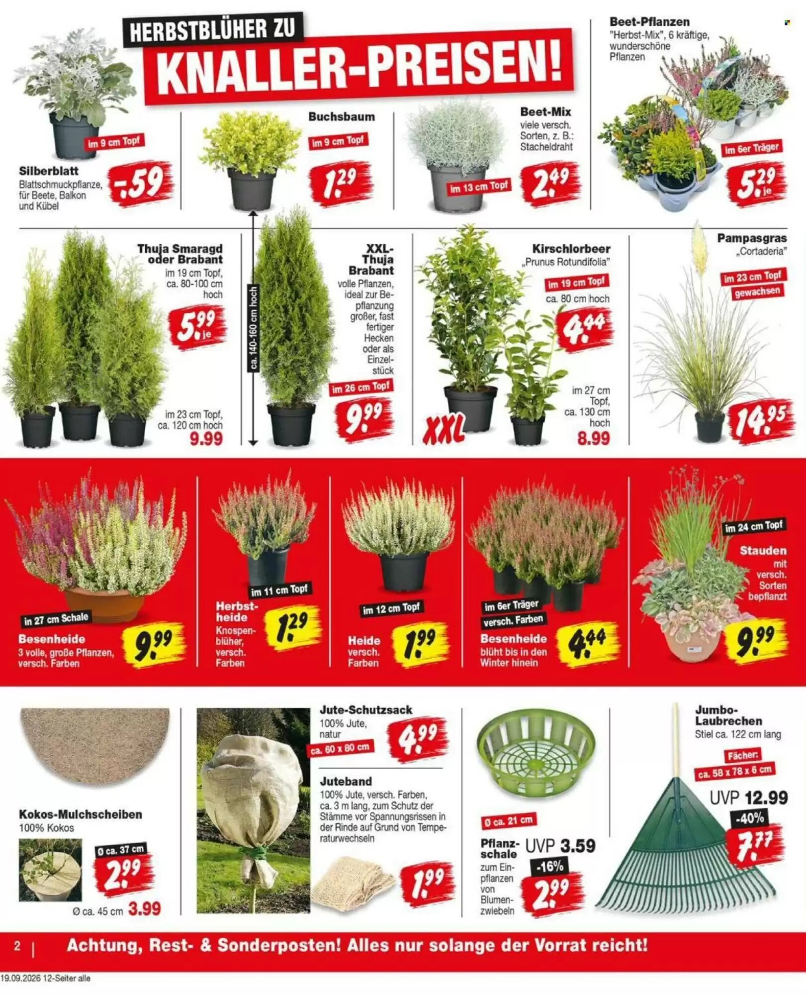 Repo Markt Prospekt (ab 21.09.2026) zum Blättern - Seite 2
