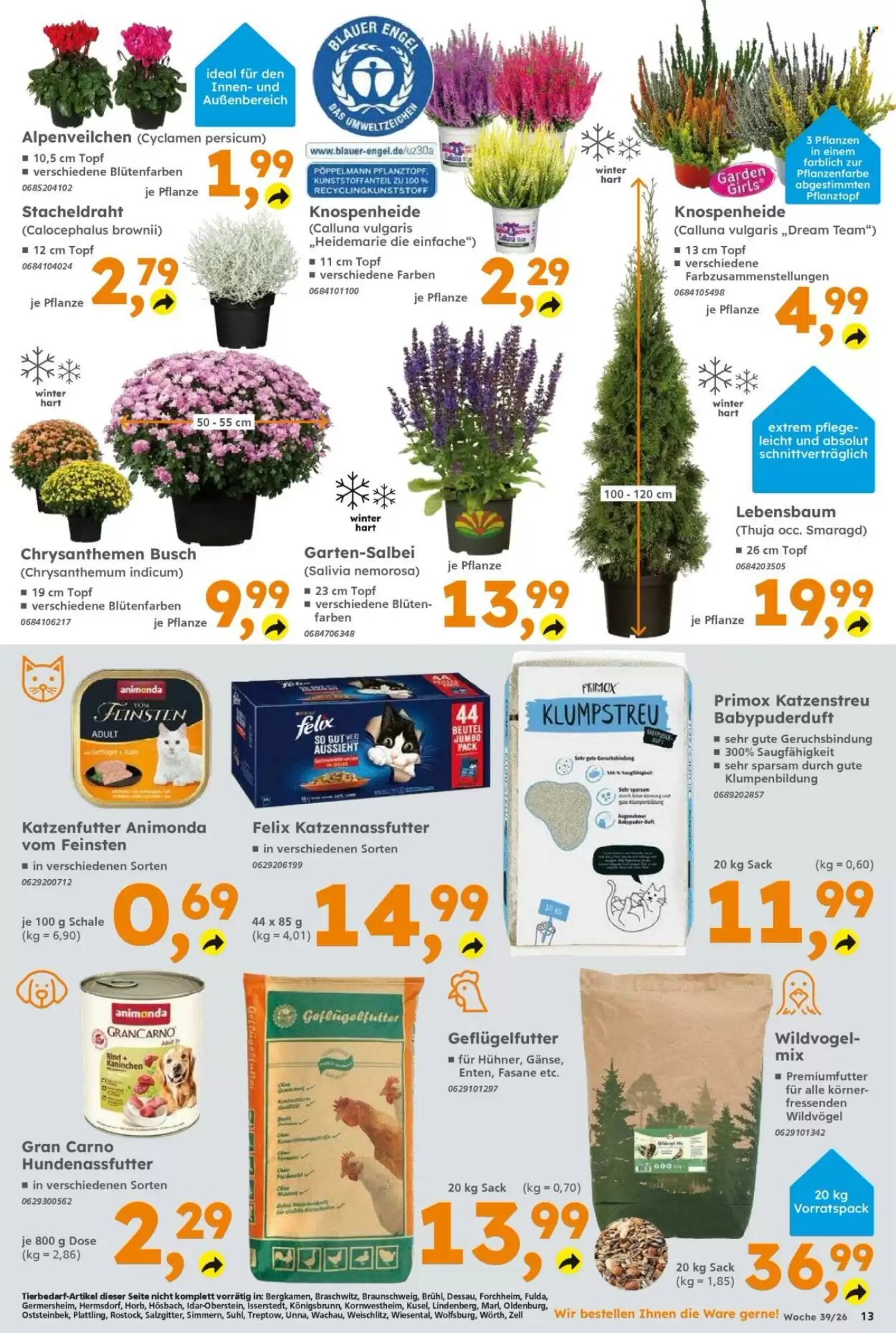 Globus Baumarkt Prospekt (ab 21.09.2026) zum Blättern - Seite 13