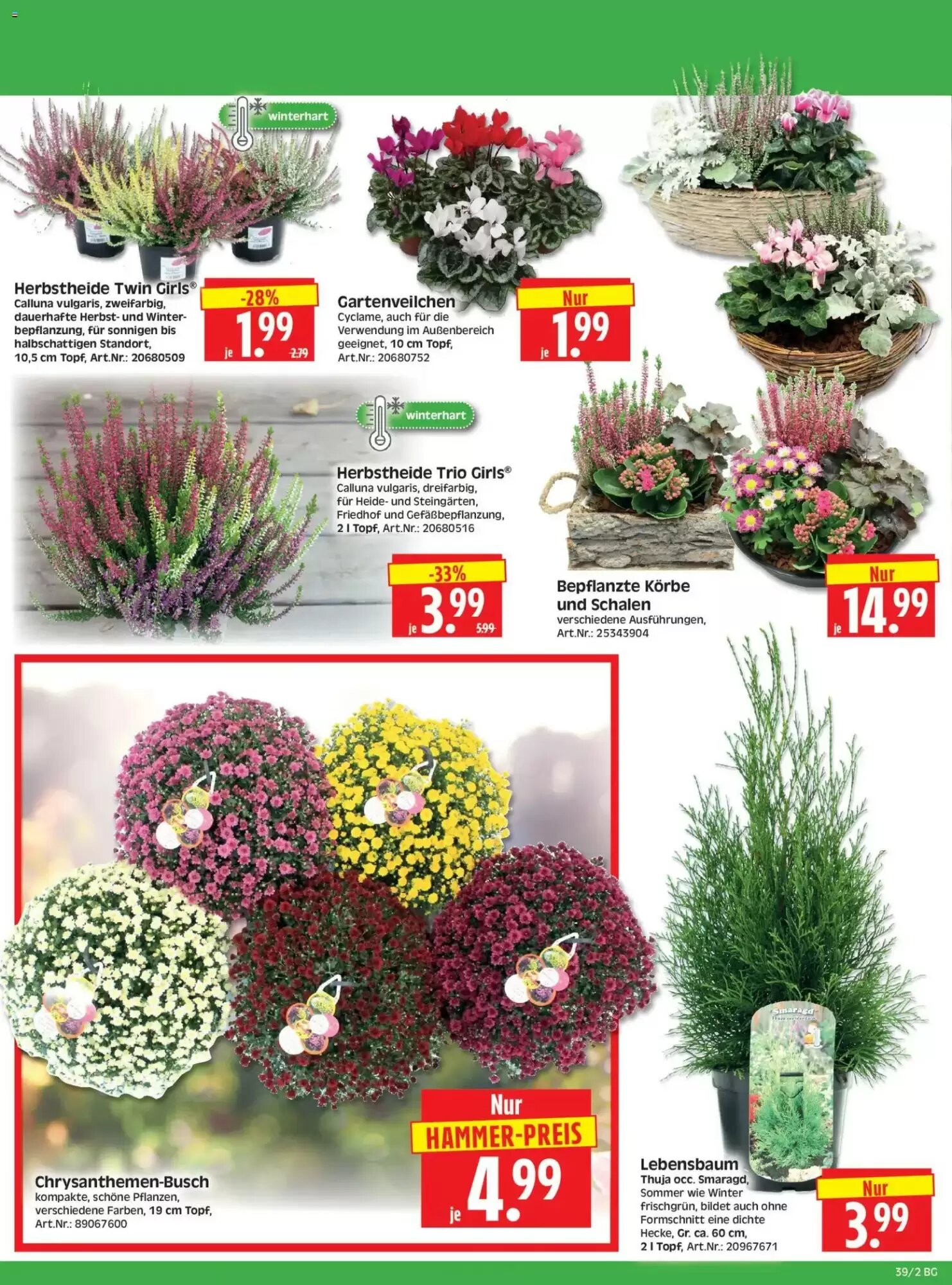 Herkules Baumarkt Prospekt (ab 21.09.2026) zum Blättern - Seite 2