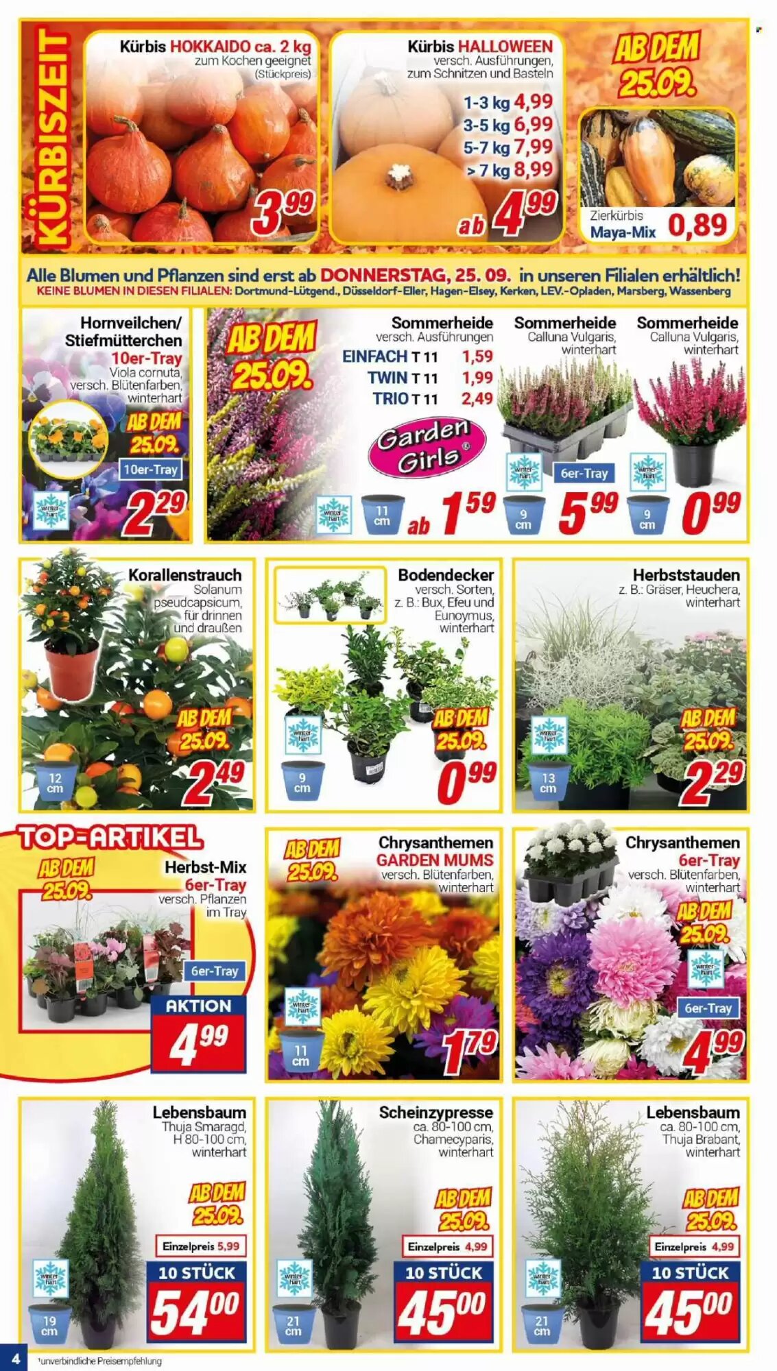 CENTERSHOP Prospekt (ab 22.09.2026) zum Blättern - Seite 4