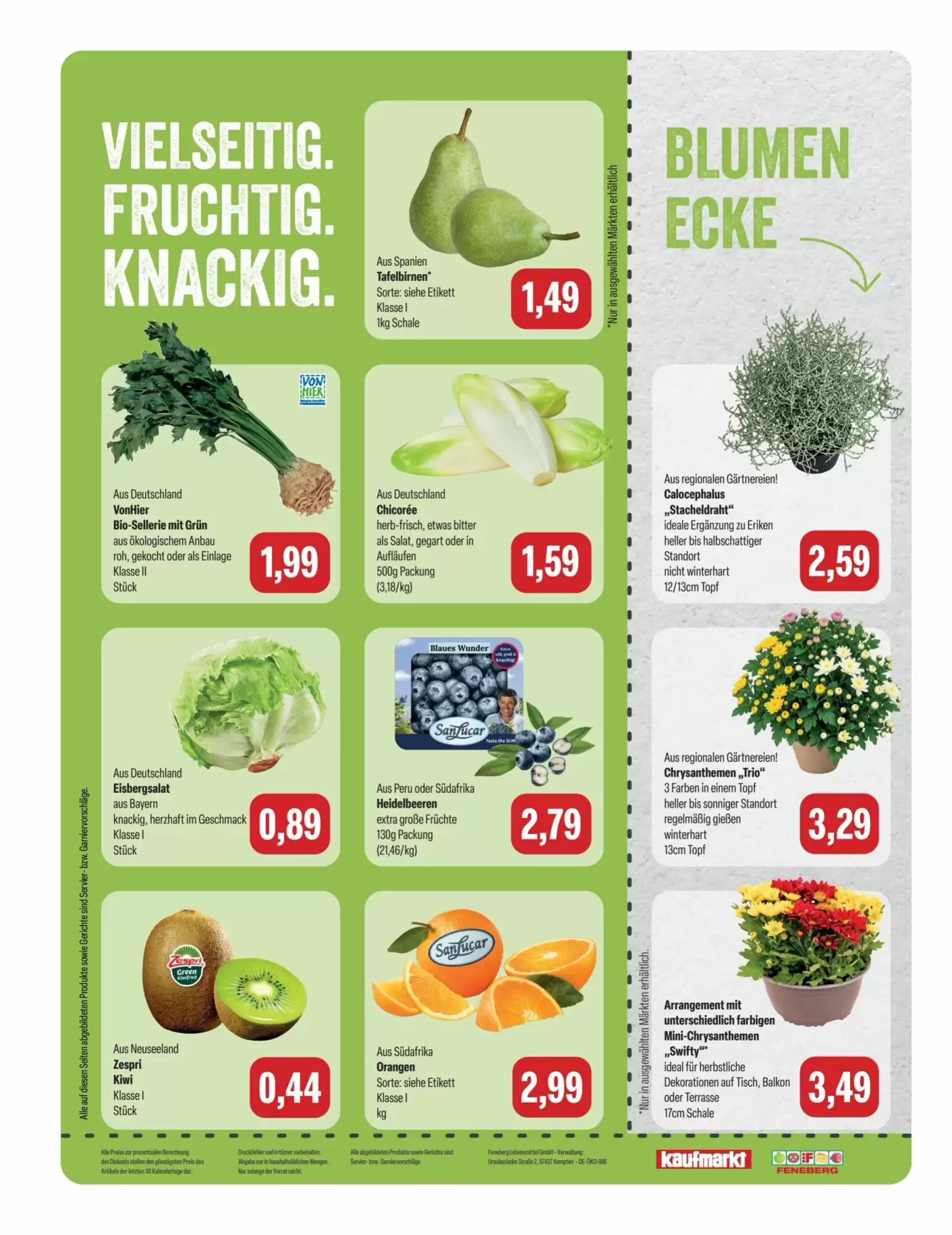 Feneberg Prospekt (ab 24.09.2026) zum Blättern - Seite 8