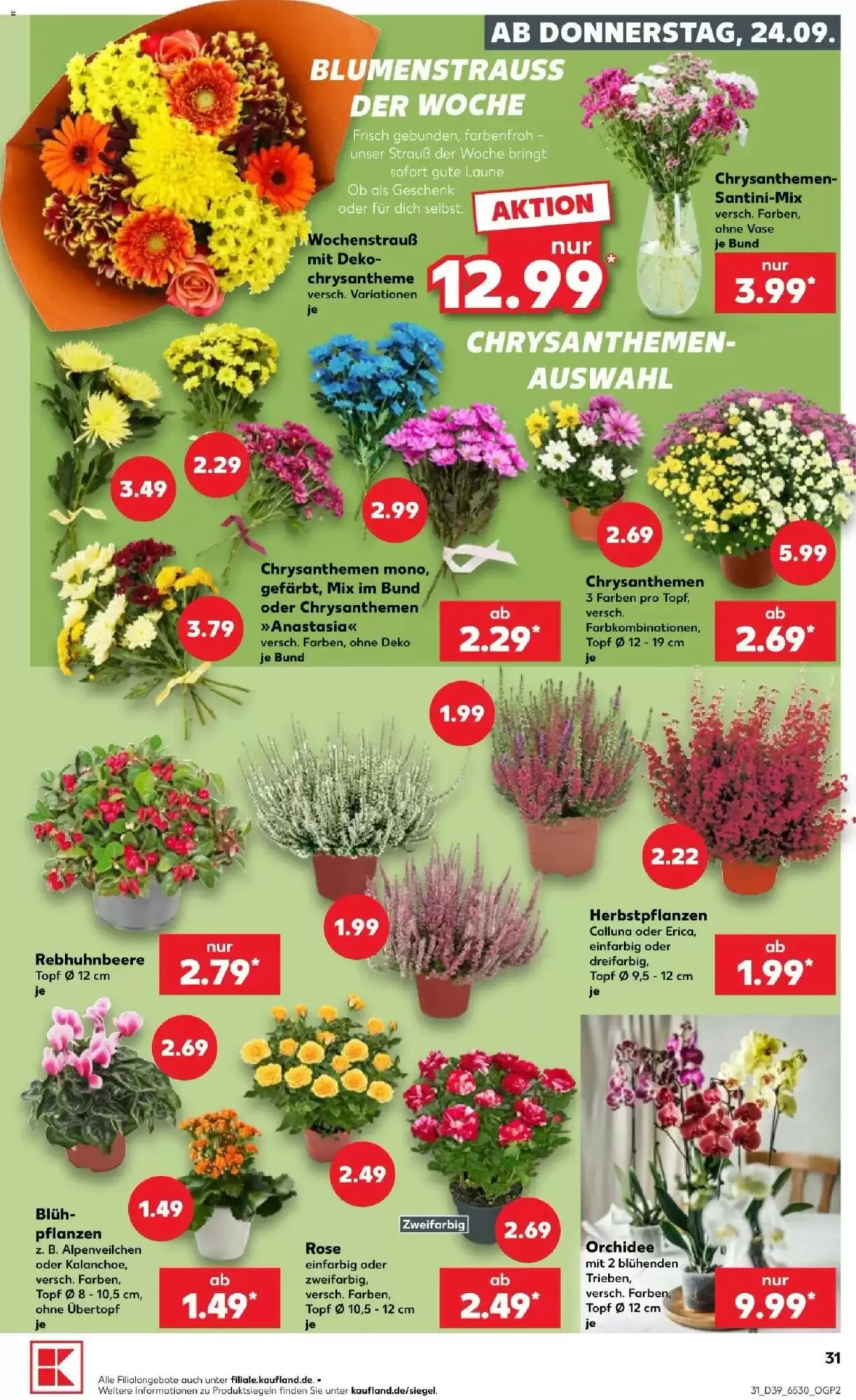 Kaufland Prospekt (ab 24.09.2026) zum Blättern - Seite 31