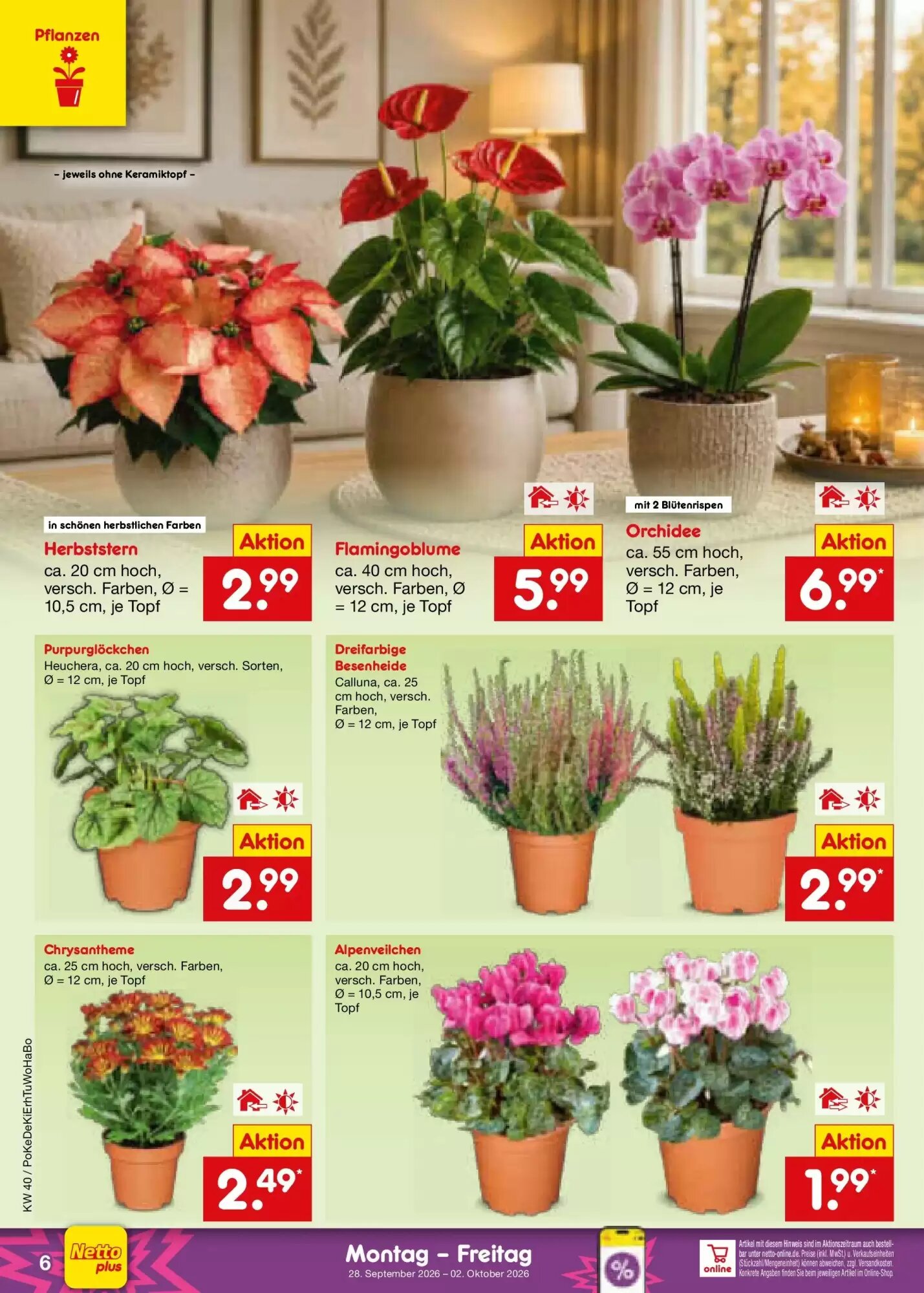 Netto Marken-Discount Prospekt (ab 28.09.2026) zum Blättern - Seite 6