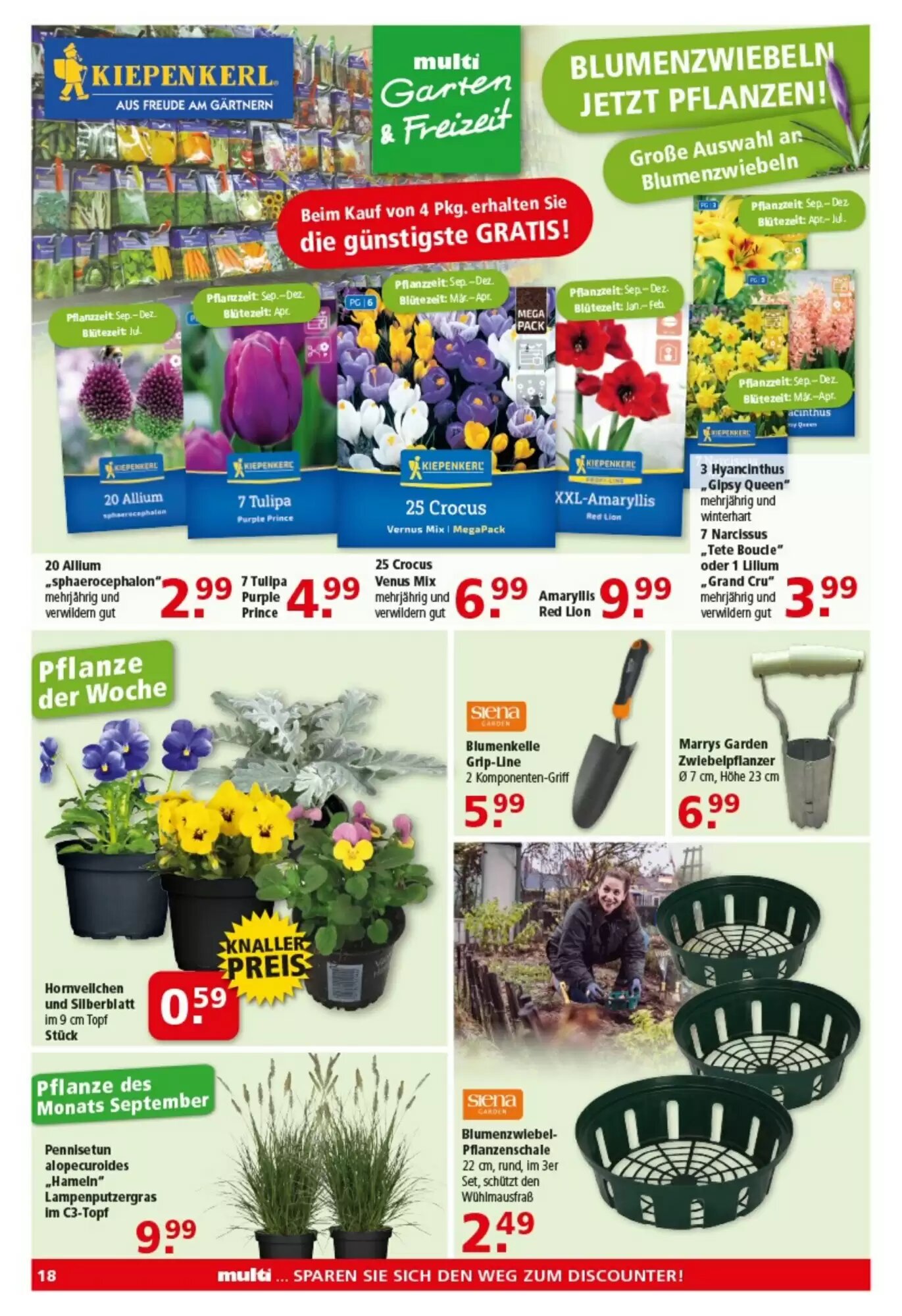 Multi Markt Prospekt (ab 28.09.2026) zum Blättern - Seite 18
