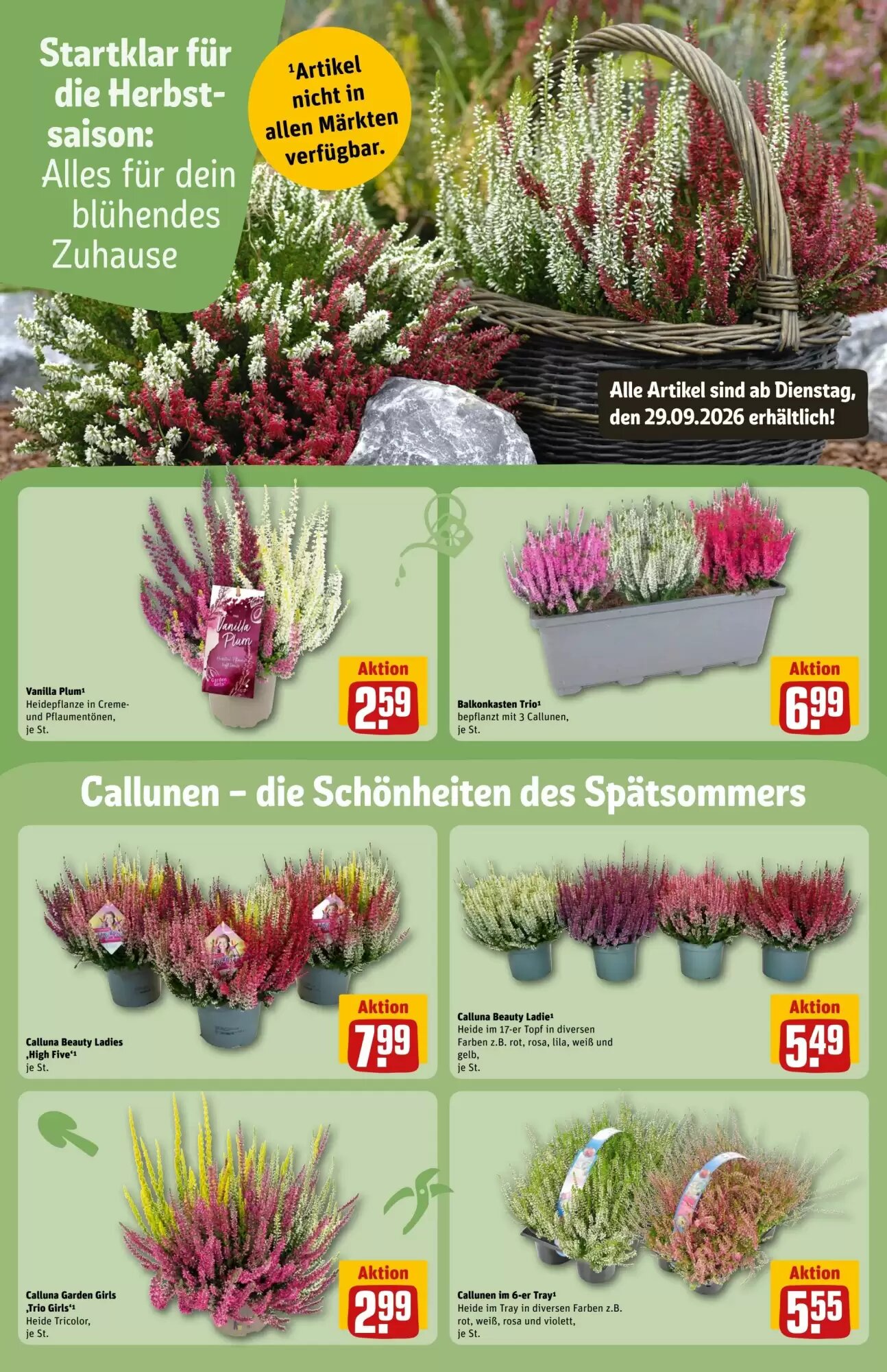 REWE Center Prospekt (ab 28.09.2026) zum Blättern - Seite 14