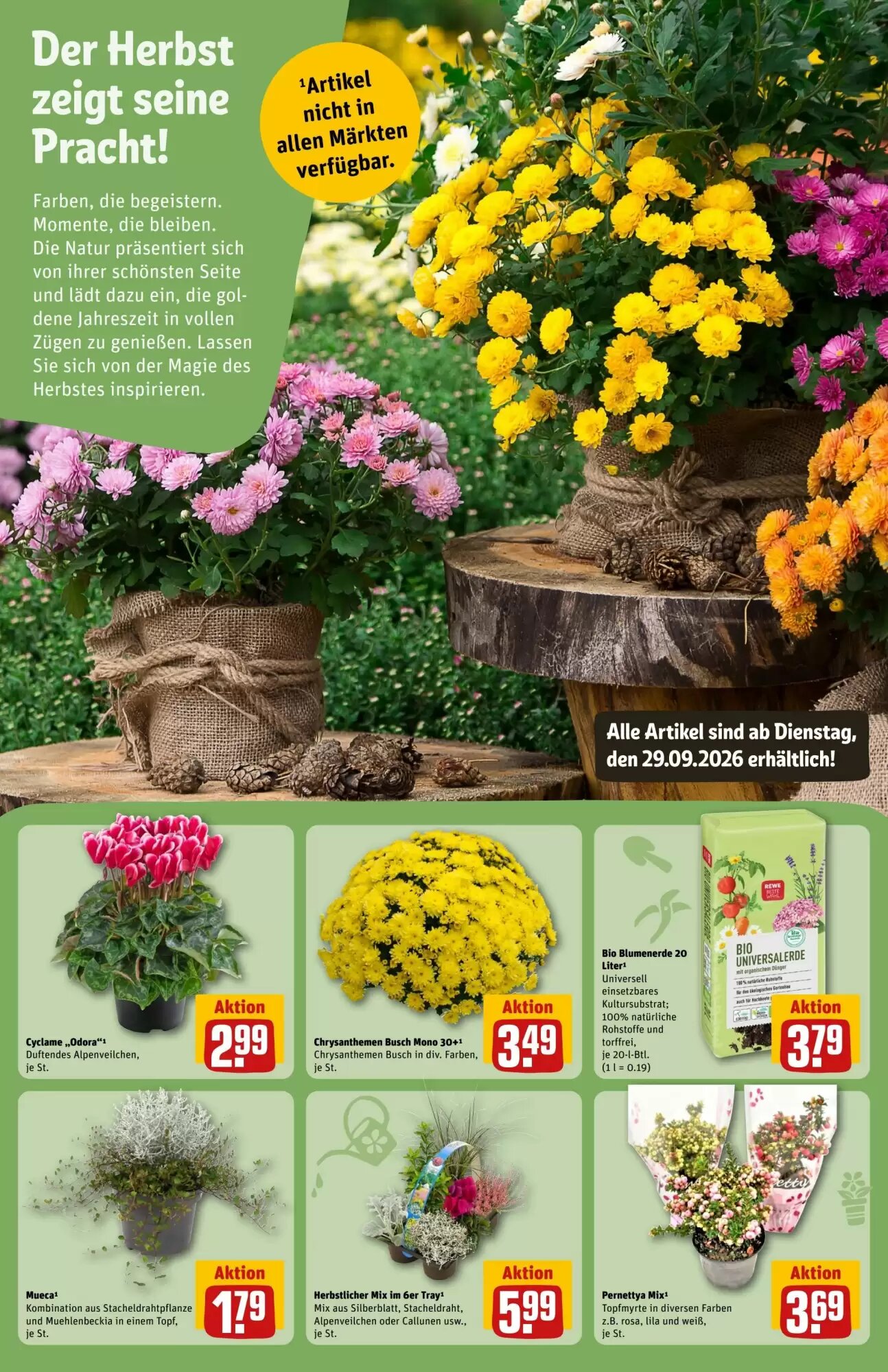 REWE Center Prospekt (ab 28.09.2026) zum Blättern - Seite 15