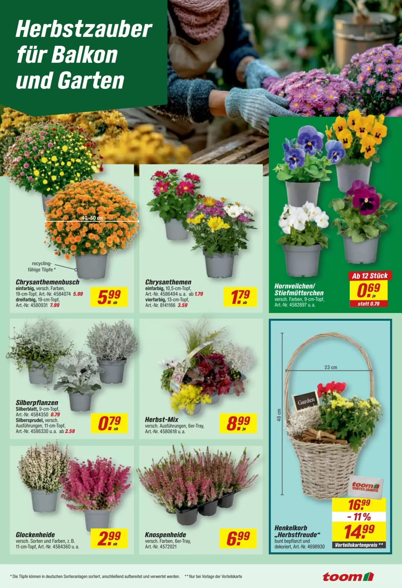 toom Baumarkt Prospekt (ab 28.09.2026) zum Blättern - Seite 17