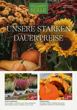 Pflanzen Kölle Prospekt (ab 30.09.2026) zum Blättern