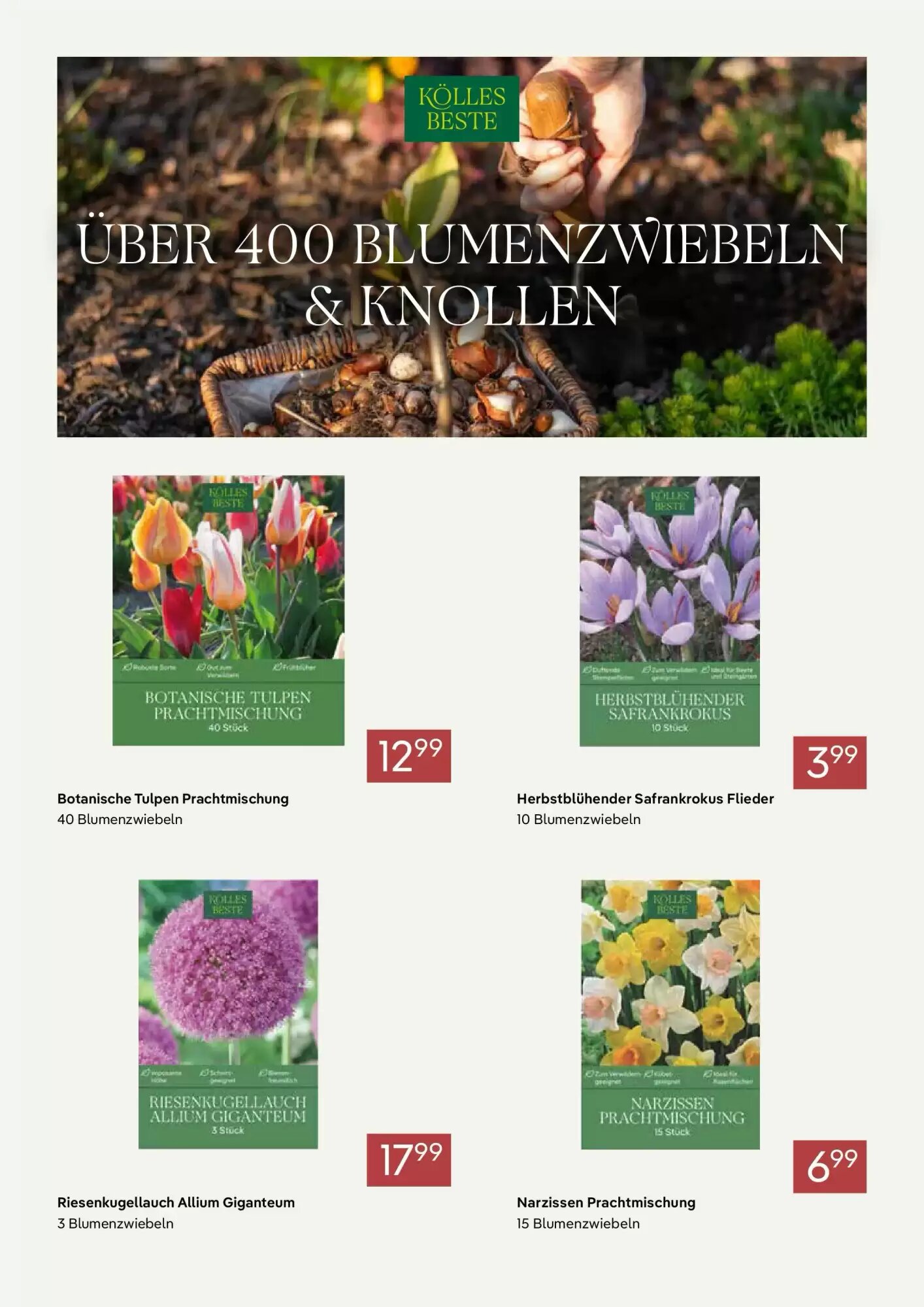 Pflanzen Kölle Prospekt (ab 30.09.2026) zum Blättern - Seite 5