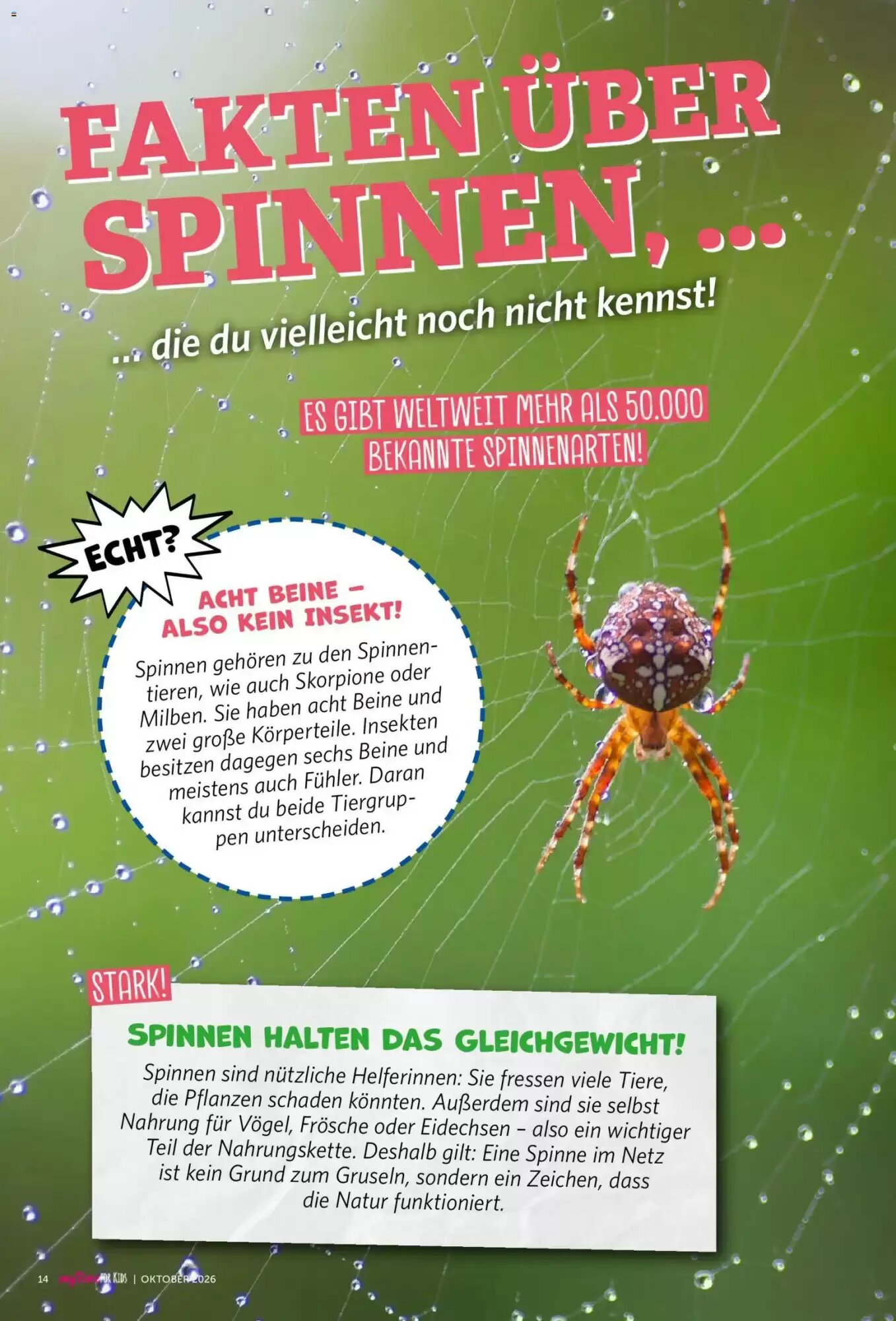 Famila Nord West Prospekt (ab 01.10.2026) zum Blättern - Seite 93