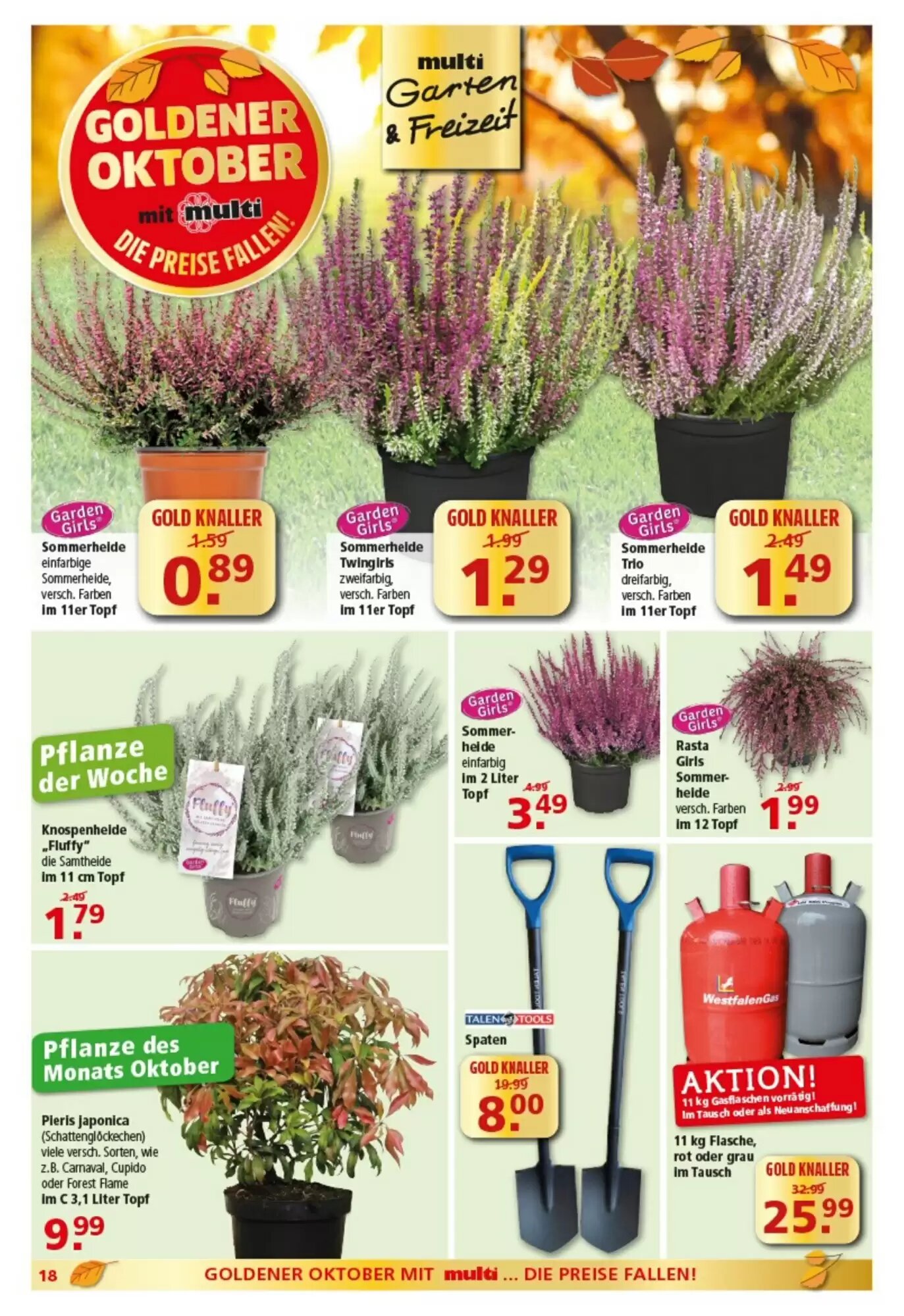 Multi Markt Prospekt (ab 05.10.2026) zum Blättern - Seite 18