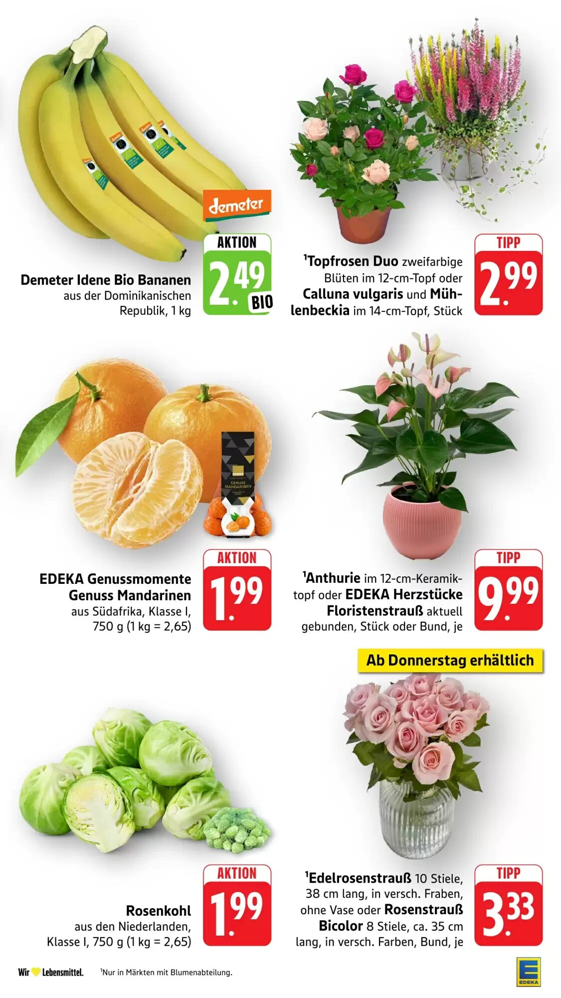 EDEKA Stralsund Prospekt (ab 05.10.2026) zum Blättern - Seite 15