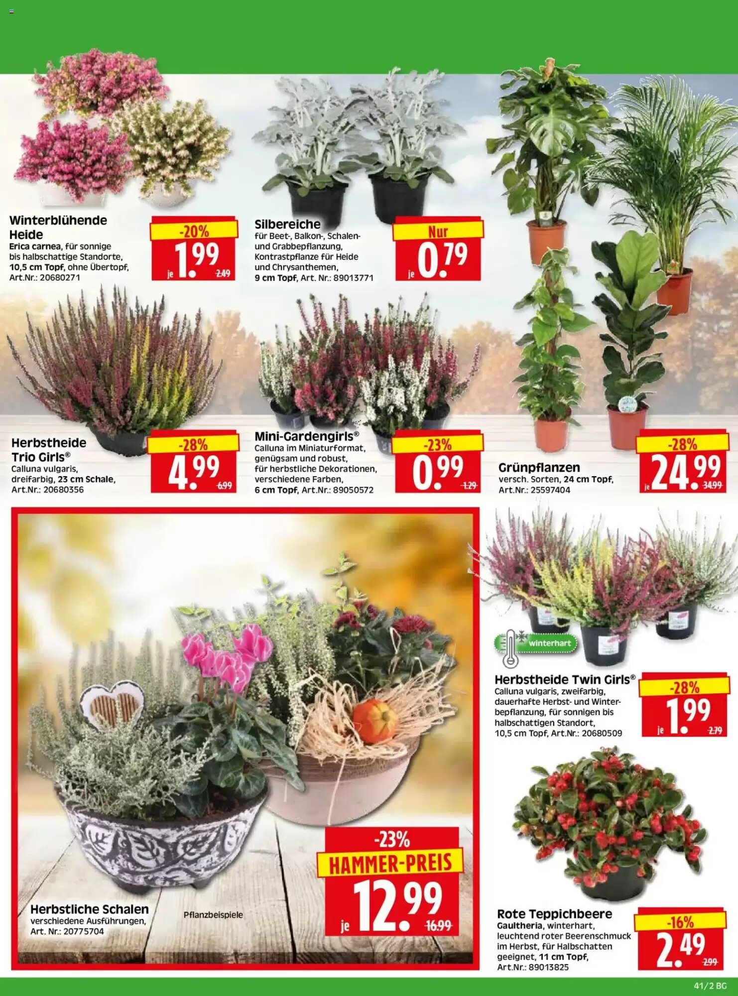 Herkules Baumarkt Prospekt (ab 05.10.2026) zum Blättern - Seite 2