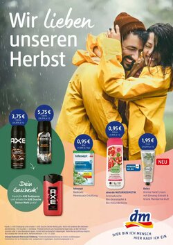 dm drogerie Prospekt (ab 07.10.2026) zum Blättern