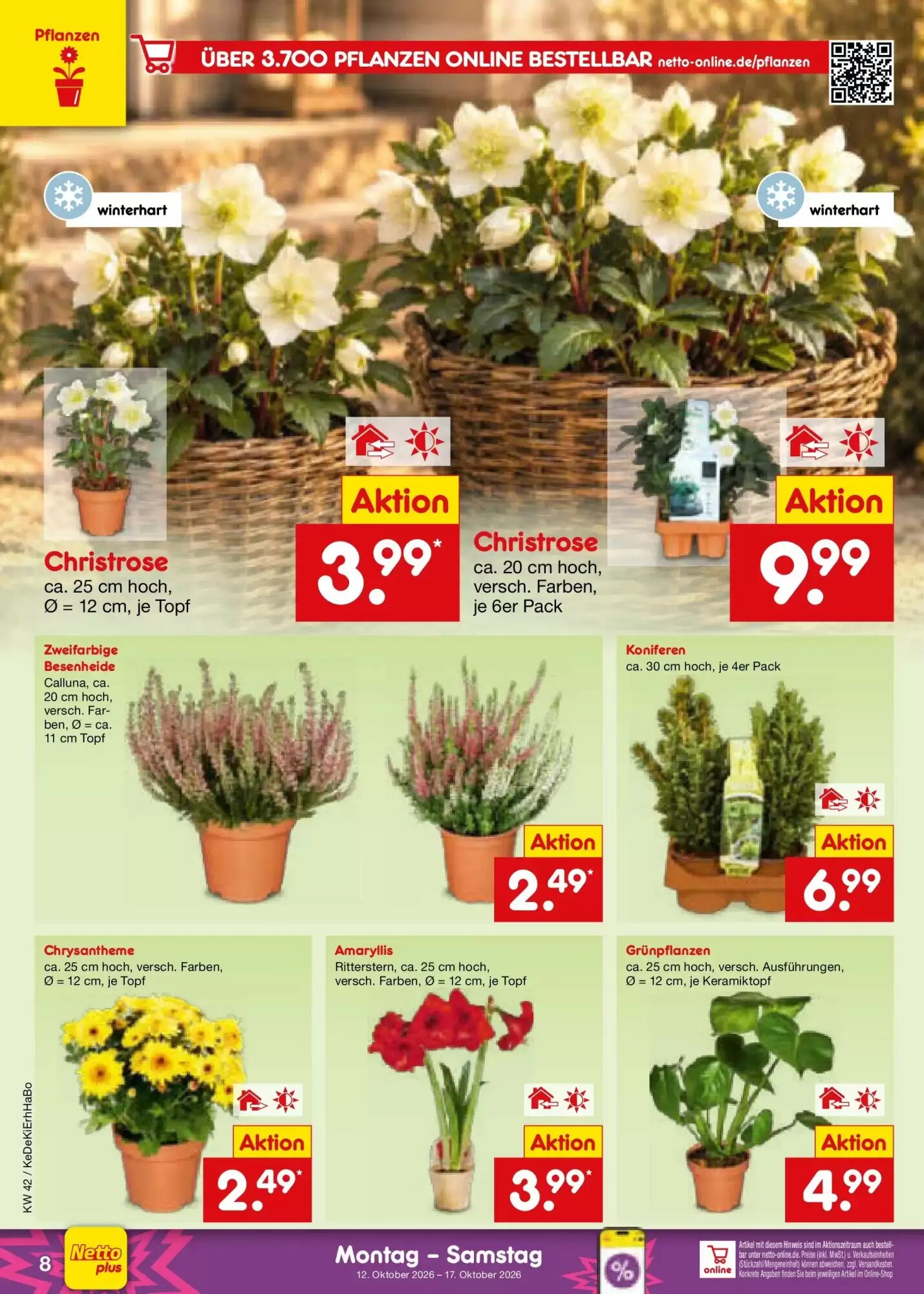 Netto Marken-Discount Prospekt (ab 11.10.2026) zum Blättern - Seite 10