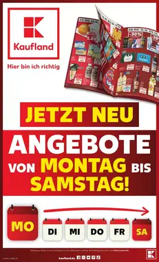 Kaufland Prospekt (ab 11.10.2026) zum Blättern