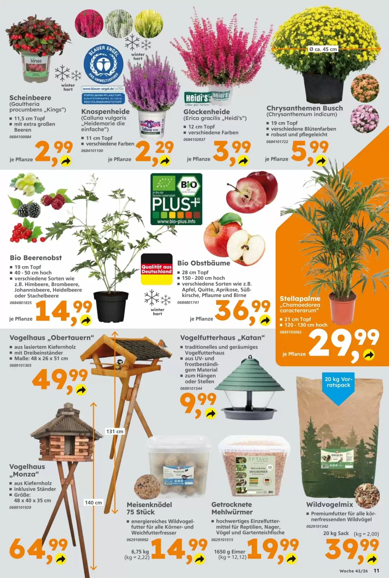Globus Baumarkt Prospekt (ab 11.10.2026) zum Blättern - Seite 11