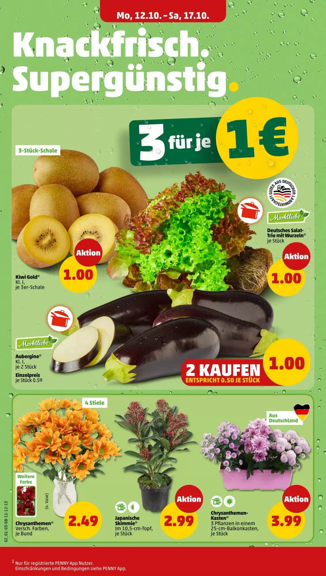 PENNY Prospekt (ab 12.10.2026) zum Blättern - Seite 4