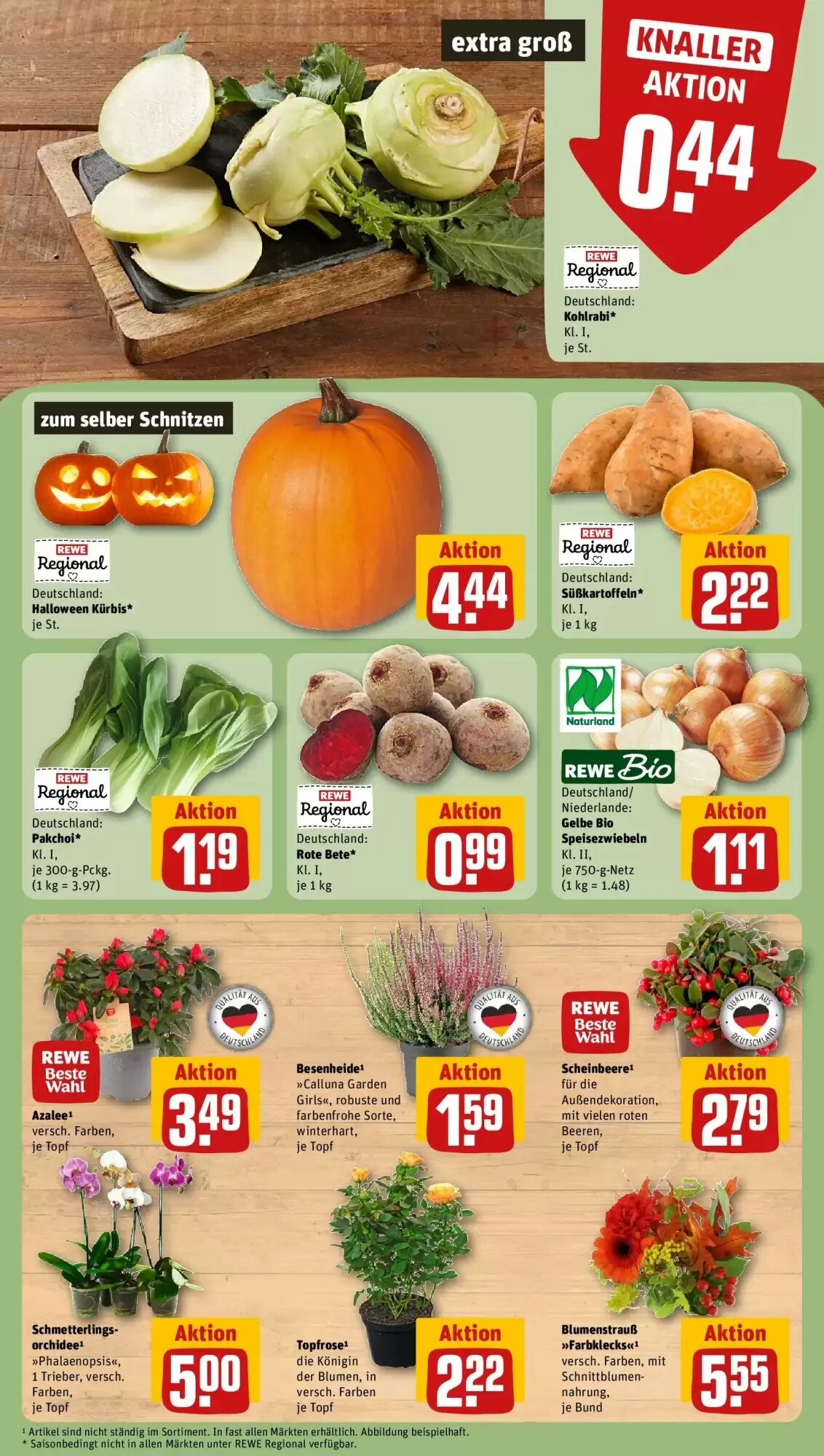 REWE Prospekt (ab 12.10.2026) zum Blättern - Seite 5