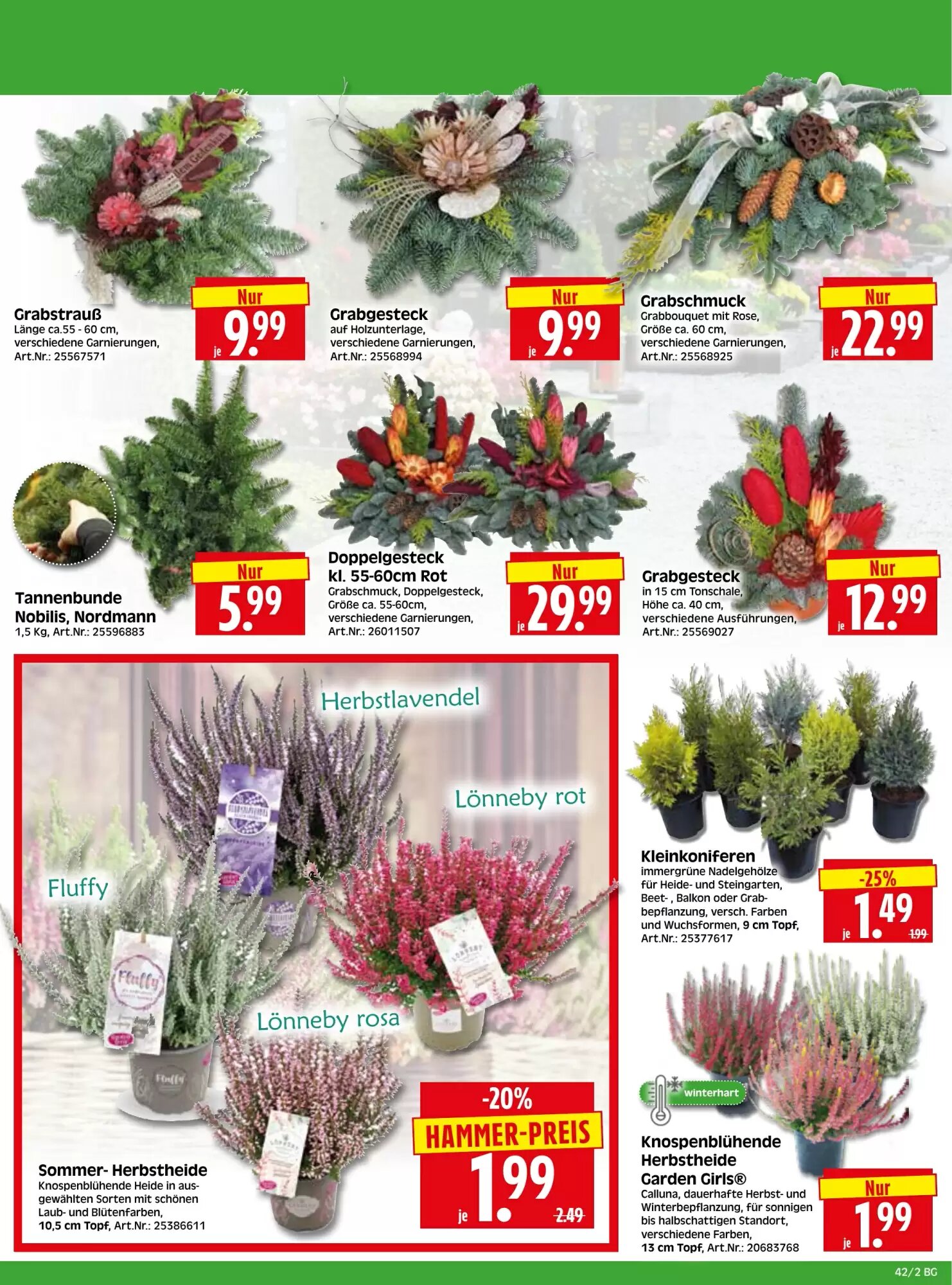 Herkules Baumarkt Prospekt (ab 12.10.2026) zum Blättern - Seite 2