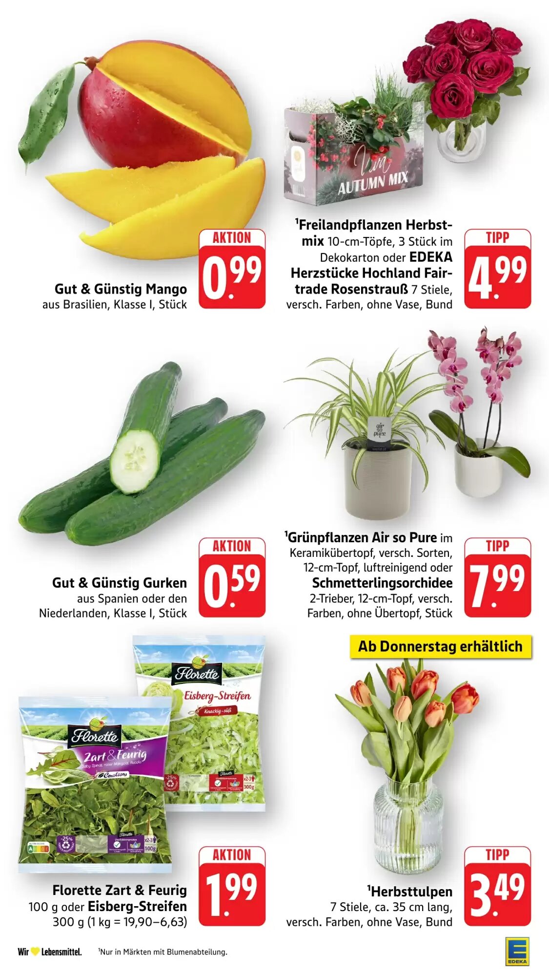 EDEKA Stralsund Prospekt (ab 12.10.2026) zum Blättern - Seite 14