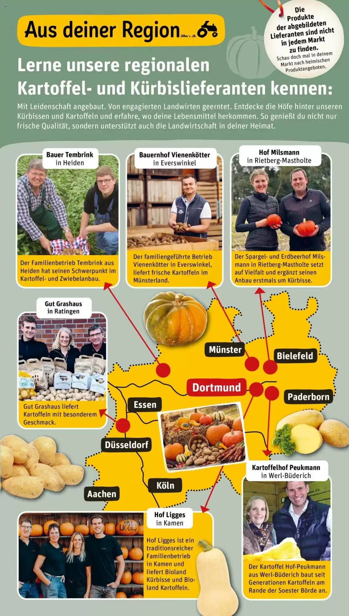 REWE Kaufpark Prospekt (ab 12.10.2026) zum Blättern - Seite 31