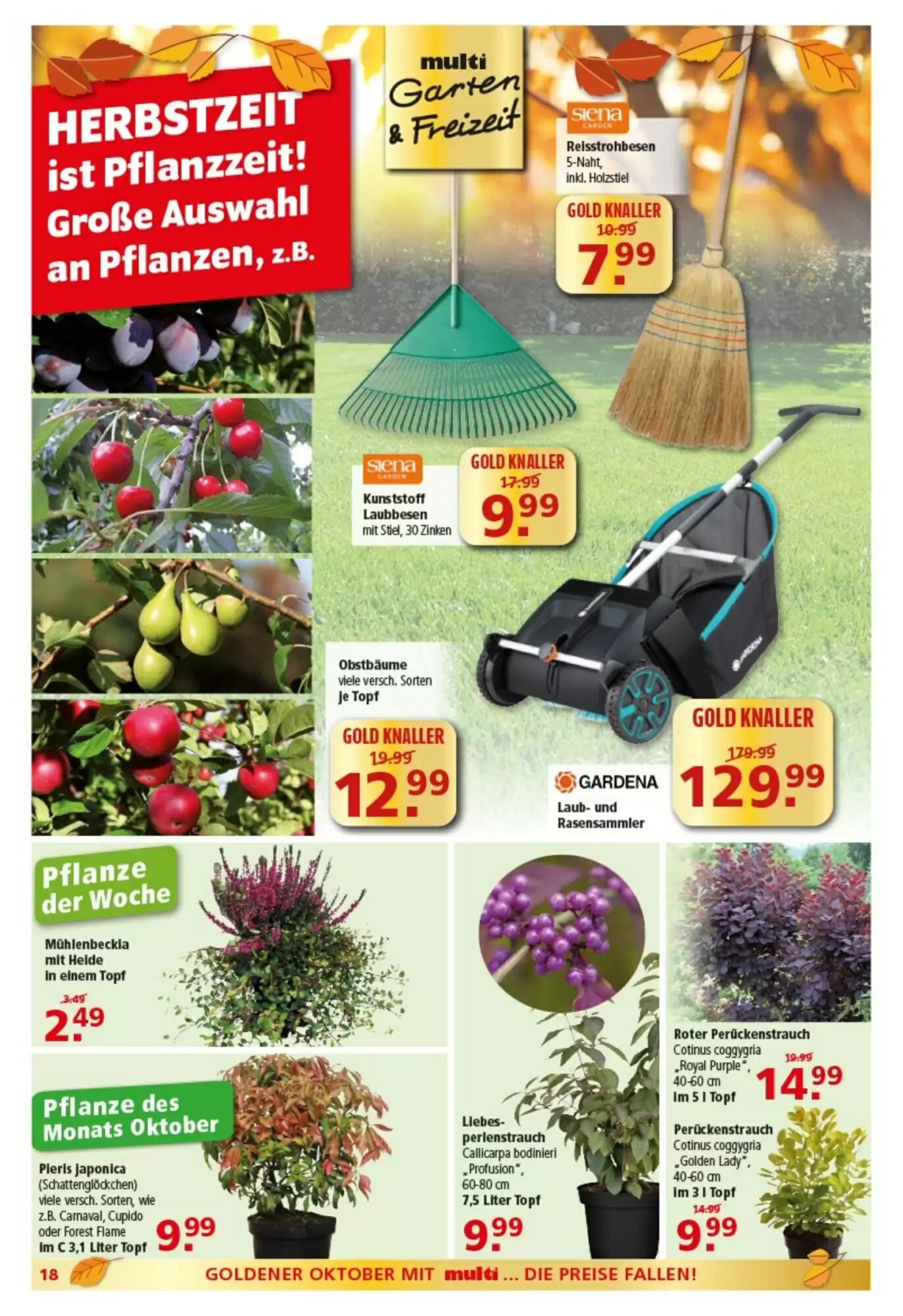 Multi Markt Prospekt (ab 12.10.2026) zum Blättern - Seite 18