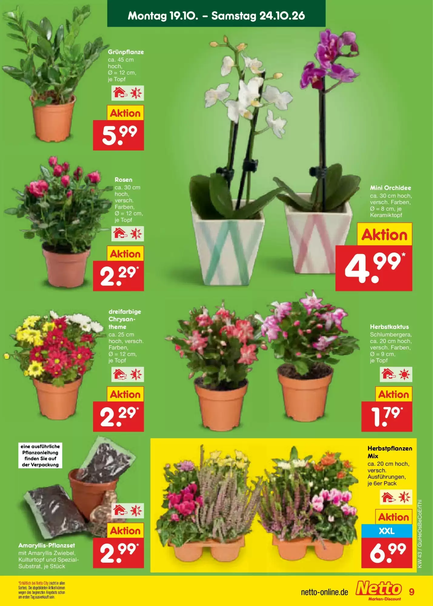 Netto Marken-Discount Prospekt (ab 18.10.2026) zum Blättern - Seite 9