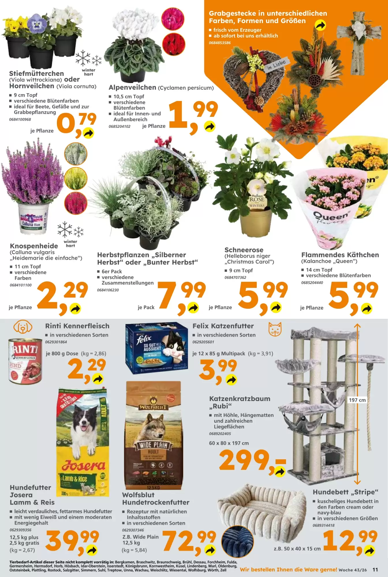 Globus Baumarkt Prospekt (ab 18.10.2026) zum Blättern - Seite 11