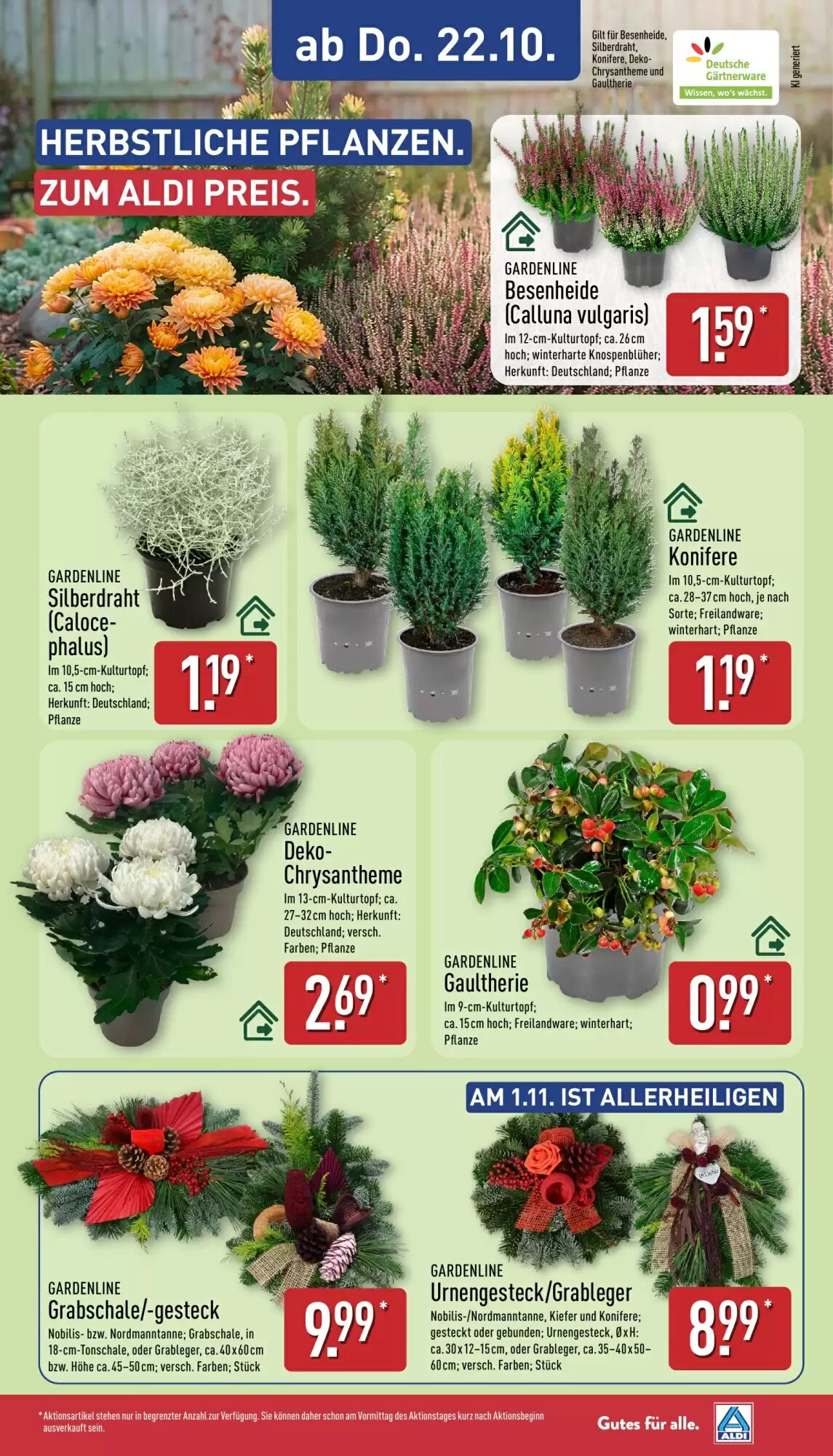 Aldi Nord Prospekt (ab 19.10.2026) zum Blättern - Seite 29