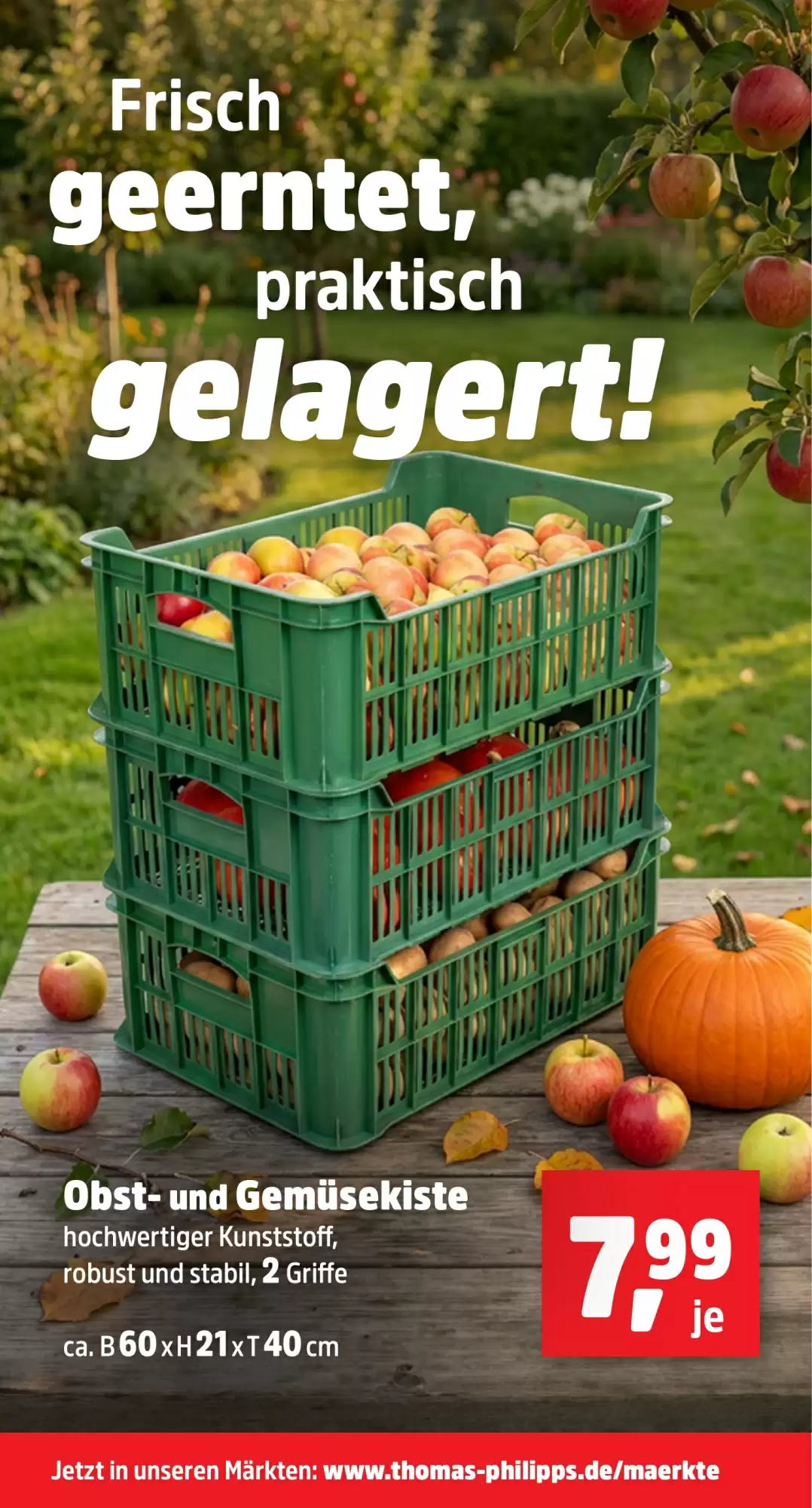 Thomas Philipps Prospekt (ab 19.10.2026) zum Blättern - Seite 17