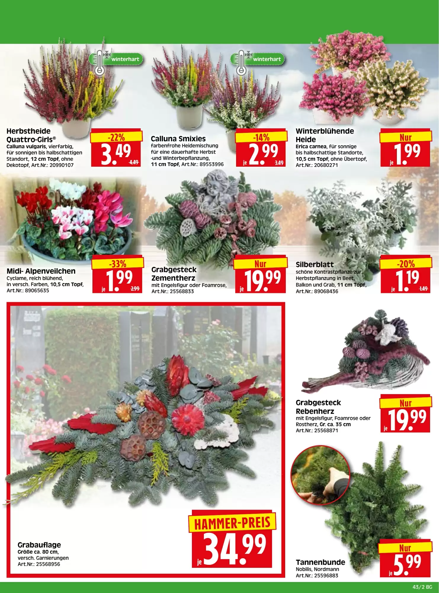 Herkules Baumarkt Prospekt (ab 19.10.2026) zum Blättern - Seite 2