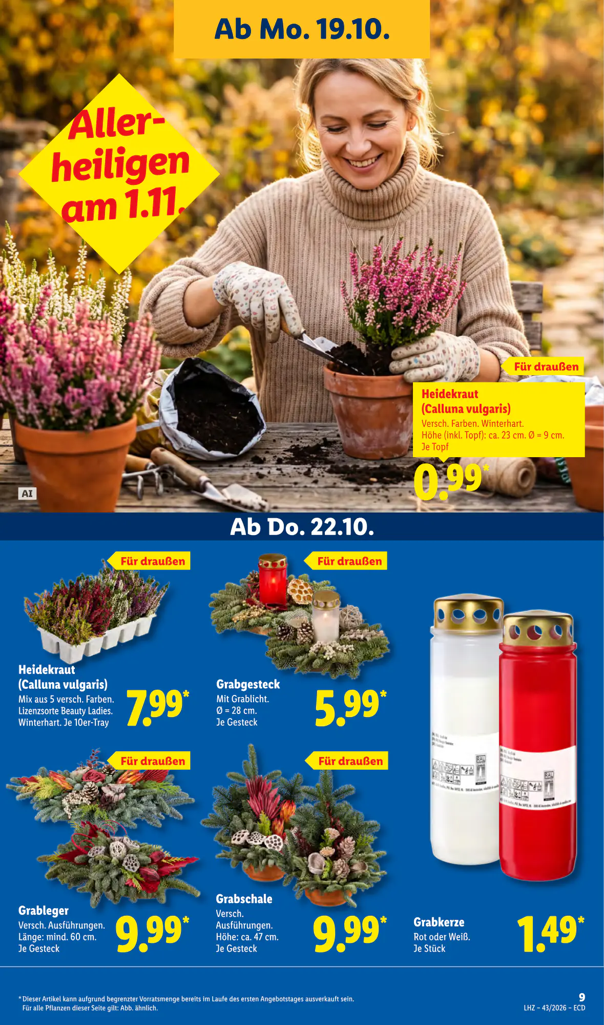 Lidl Prospekt (ab 19.10.2026) zum Blättern - Seite 19