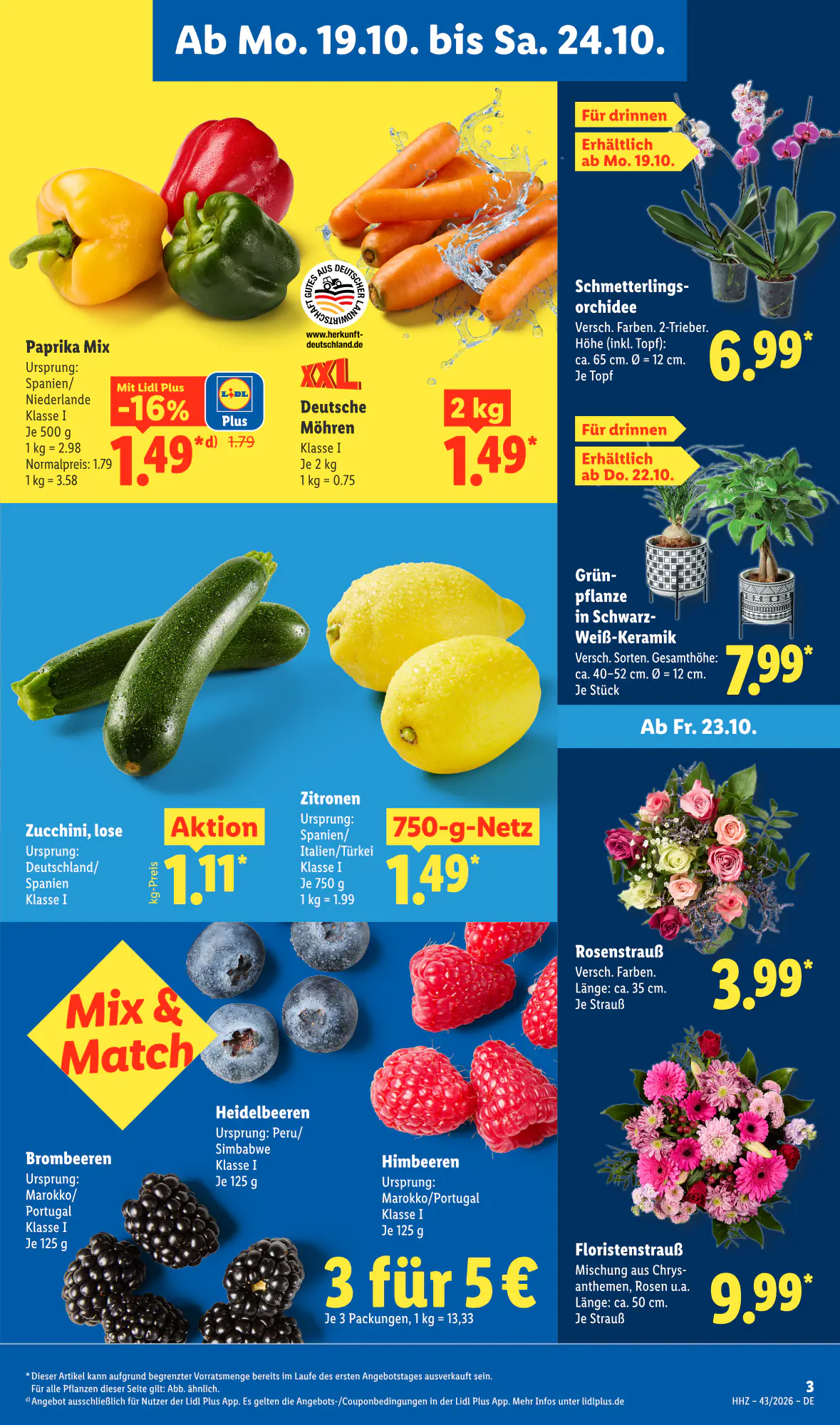 Lidl Prospekt (ab 19.10.2026) zum Blättern - Seite 3