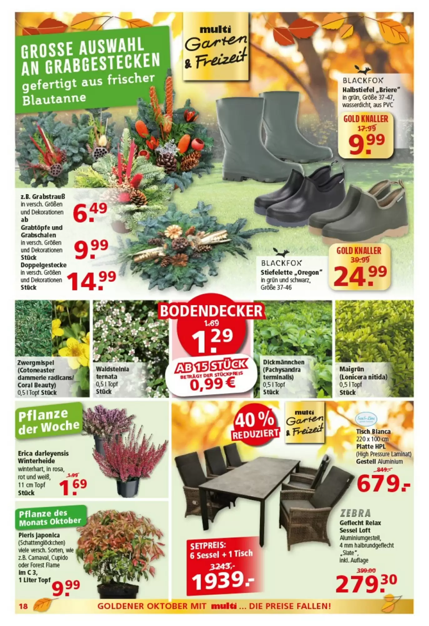 Multi Markt Prospekt (ab 19.10.2026) zum Blättern - Seite 18
