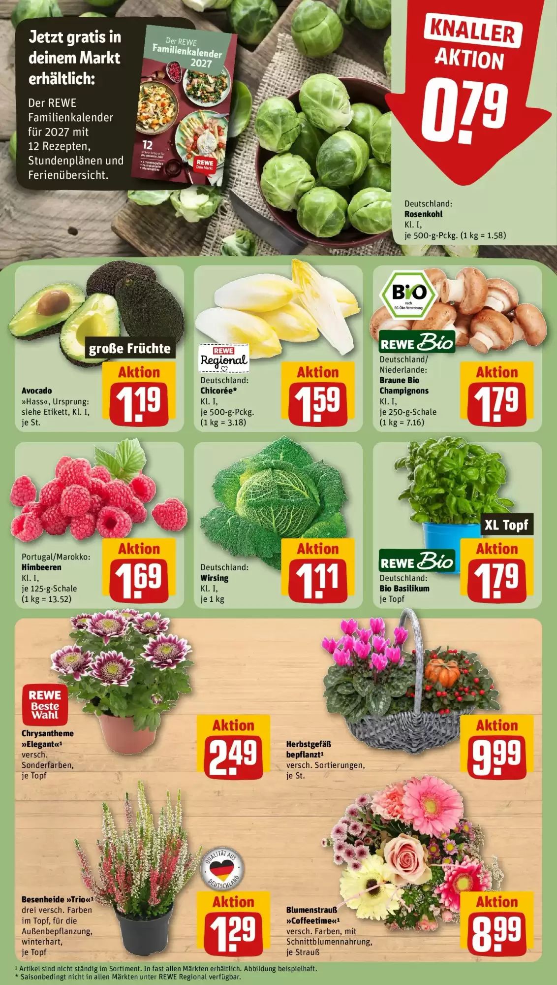 REWE Prospekt (ab 19.10.2026) zum Blättern - Seite 9